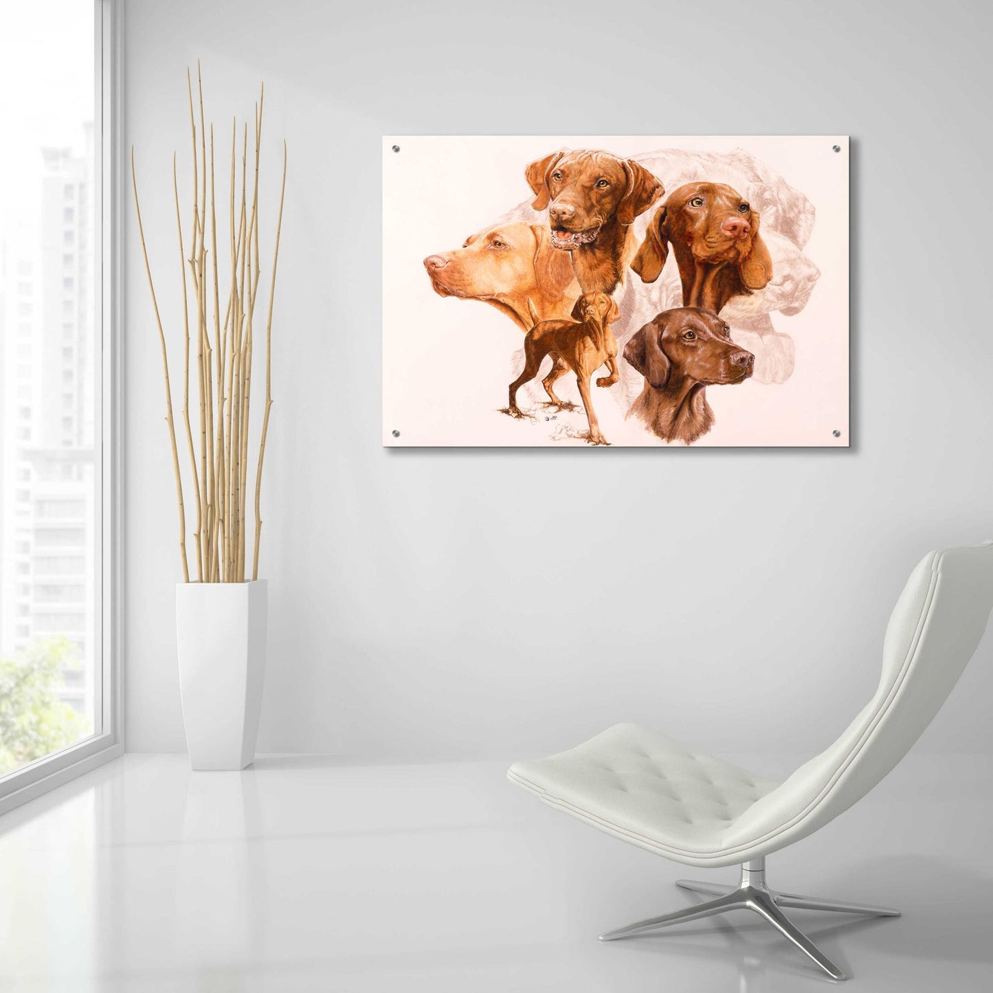 Epic Art 'Vizsla' by Barbara Keith, Acrylic Glass Wall Art,36x24