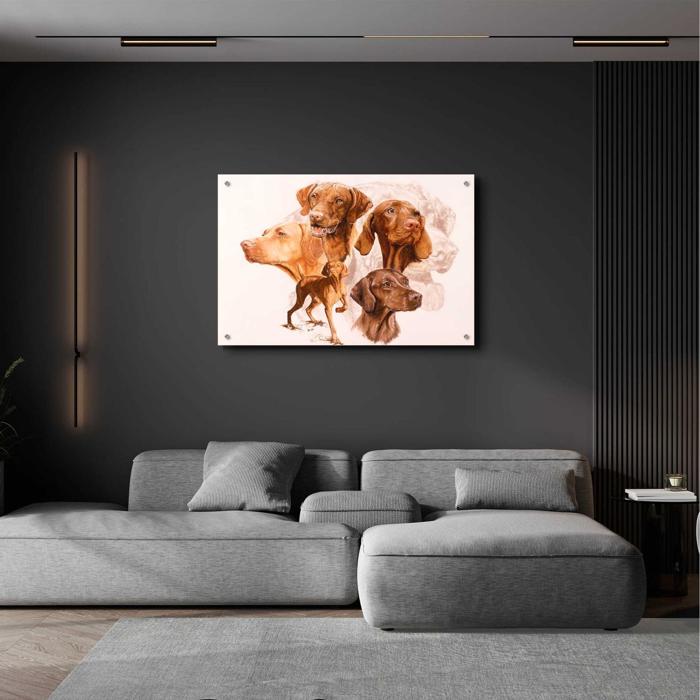 Epic Art 'Vizsla' by Barbara Keith, Acrylic Glass Wall Art,36x24