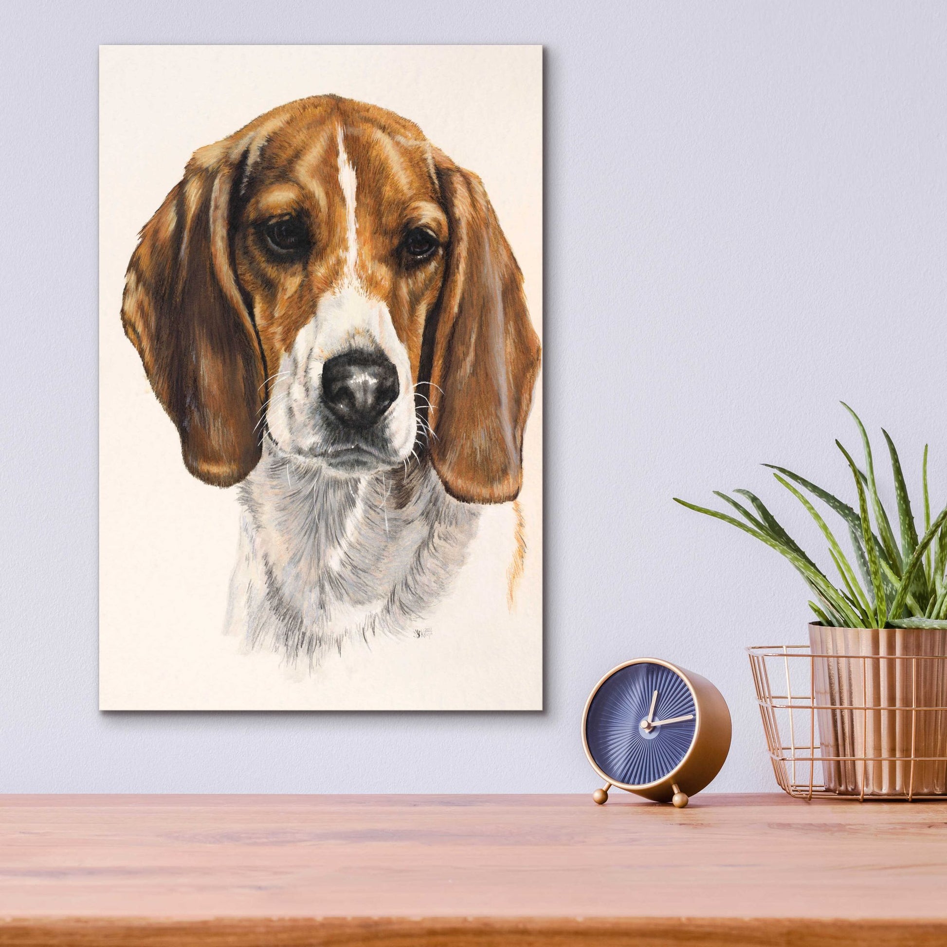 Epic Art 'Beagle' by Barbara Keith, Acrylic Glass Wall Art,12x16