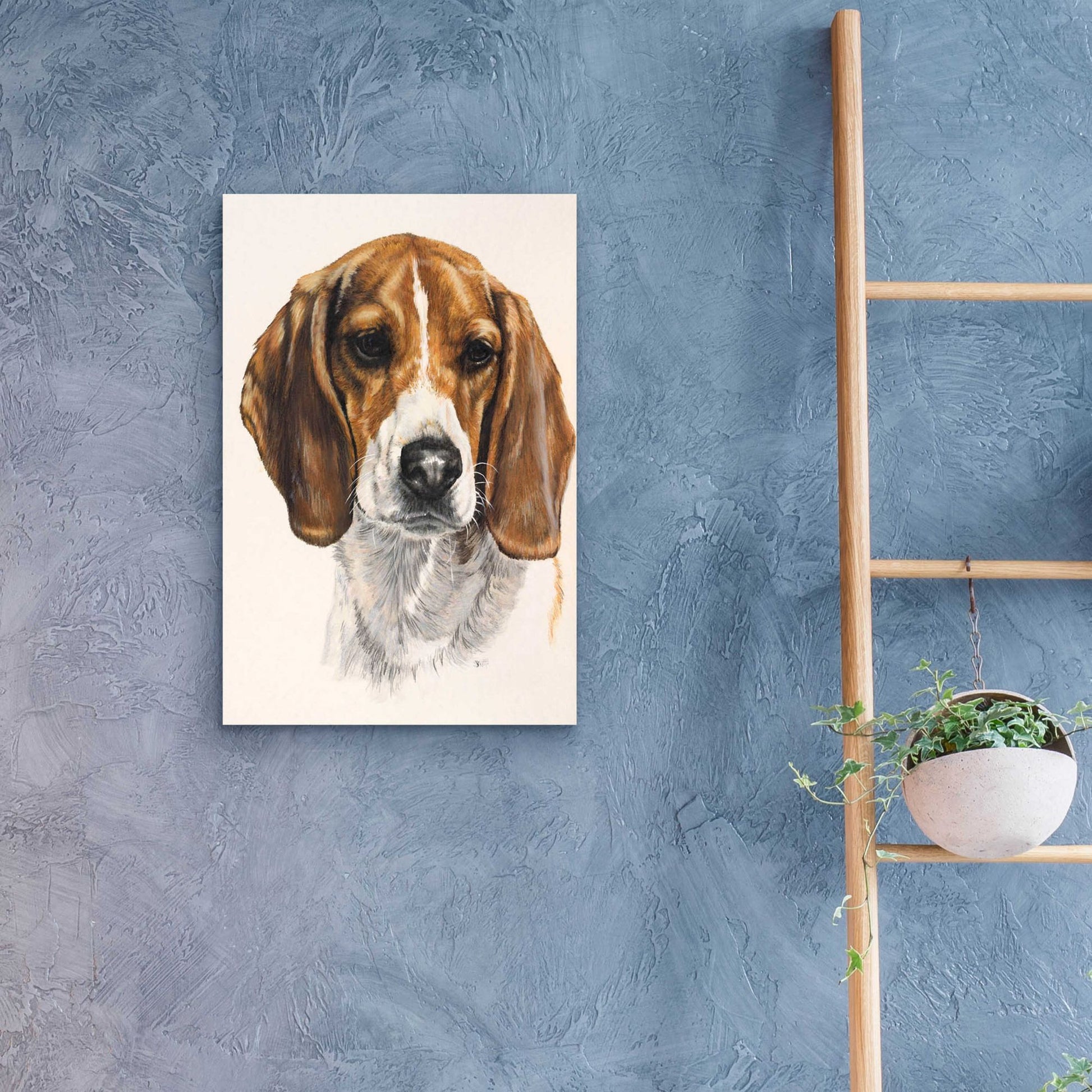 Epic Art 'Beagle' by Barbara Keith, Acrylic Glass Wall Art,16x24