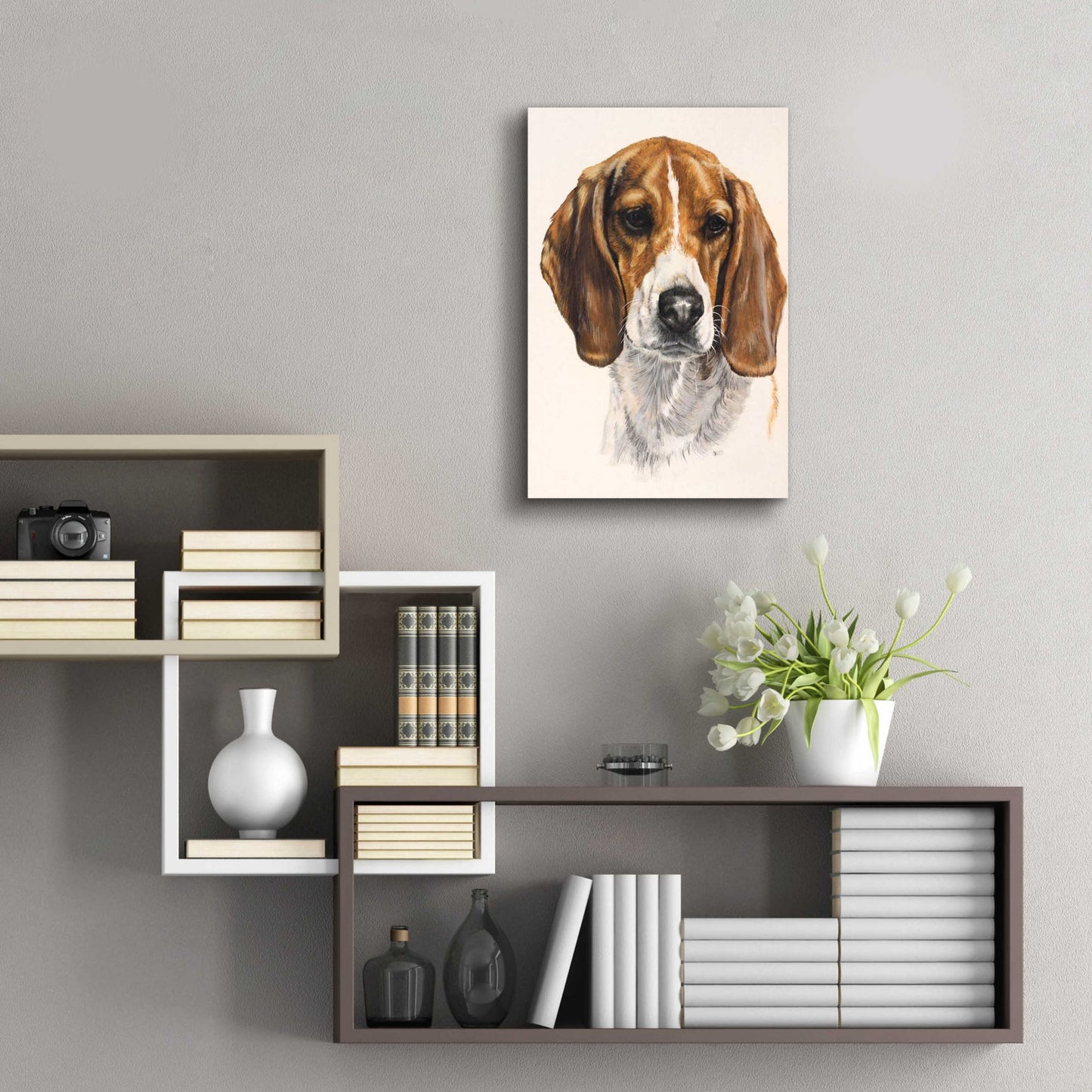 Epic Art 'Beagle' by Barbara Keith, Acrylic Glass Wall Art,16x24