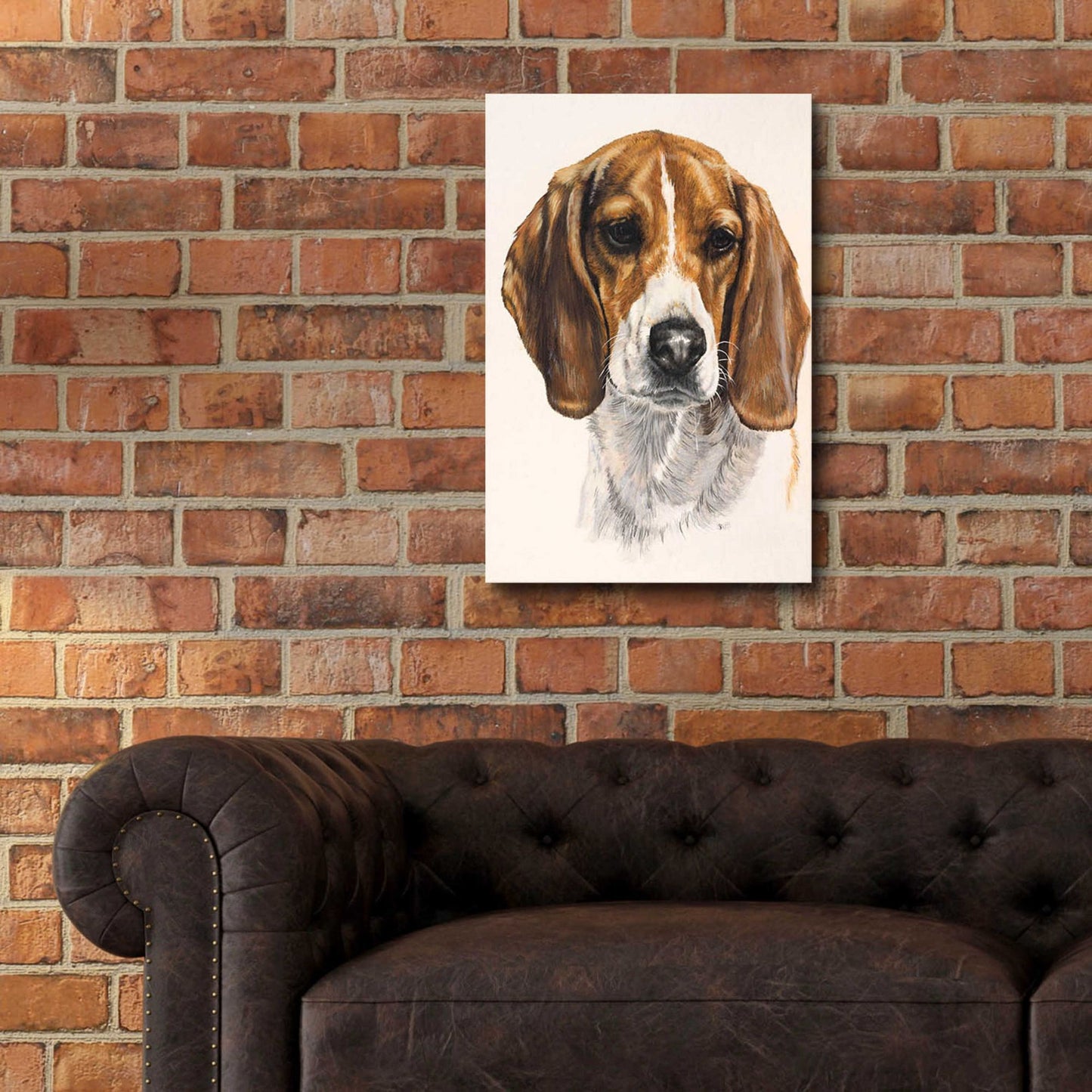 Epic Art 'Beagle' by Barbara Keith, Acrylic Glass Wall Art,16x24