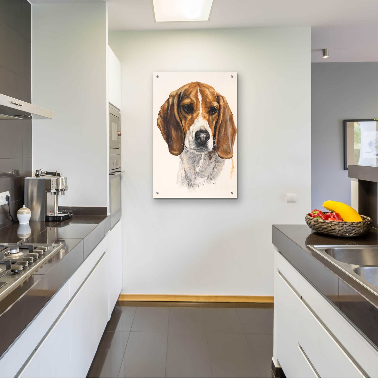 Epic Art 'Beagle' by Barbara Keith, Acrylic Glass Wall Art,24x36