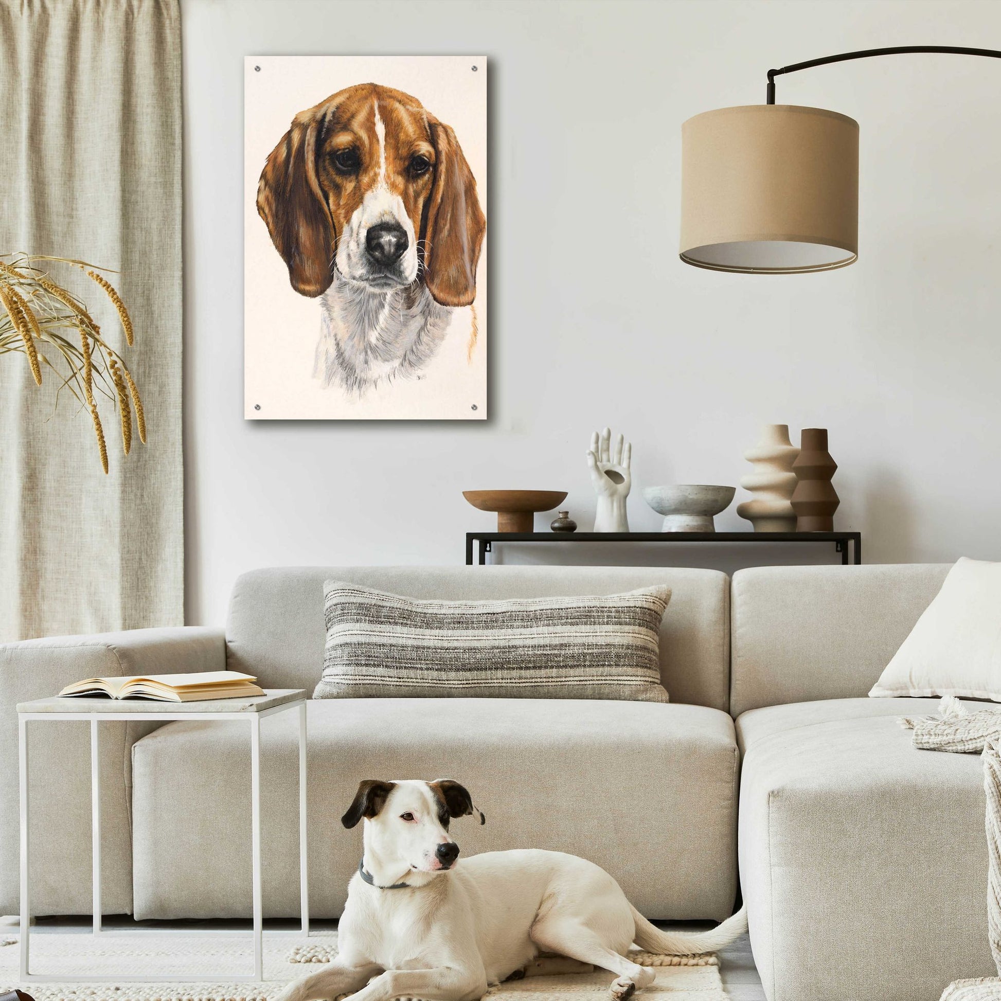 Epic Art 'Beagle' by Barbara Keith, Acrylic Glass Wall Art,24x36