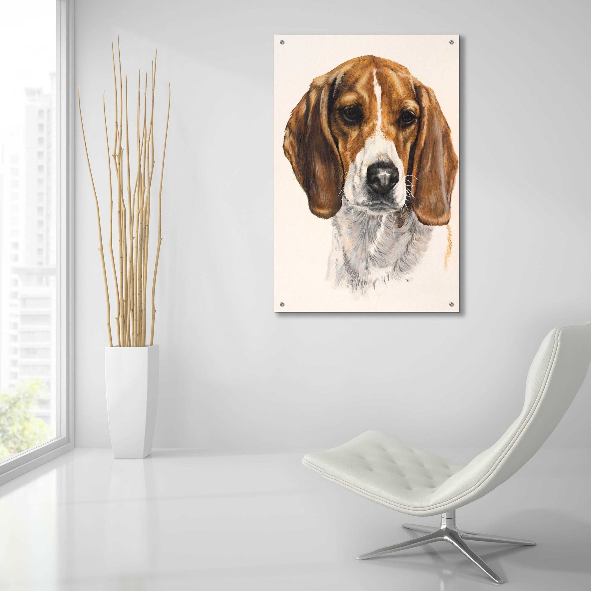 Epic Art 'Beagle' by Barbara Keith, Acrylic Glass Wall Art,24x36