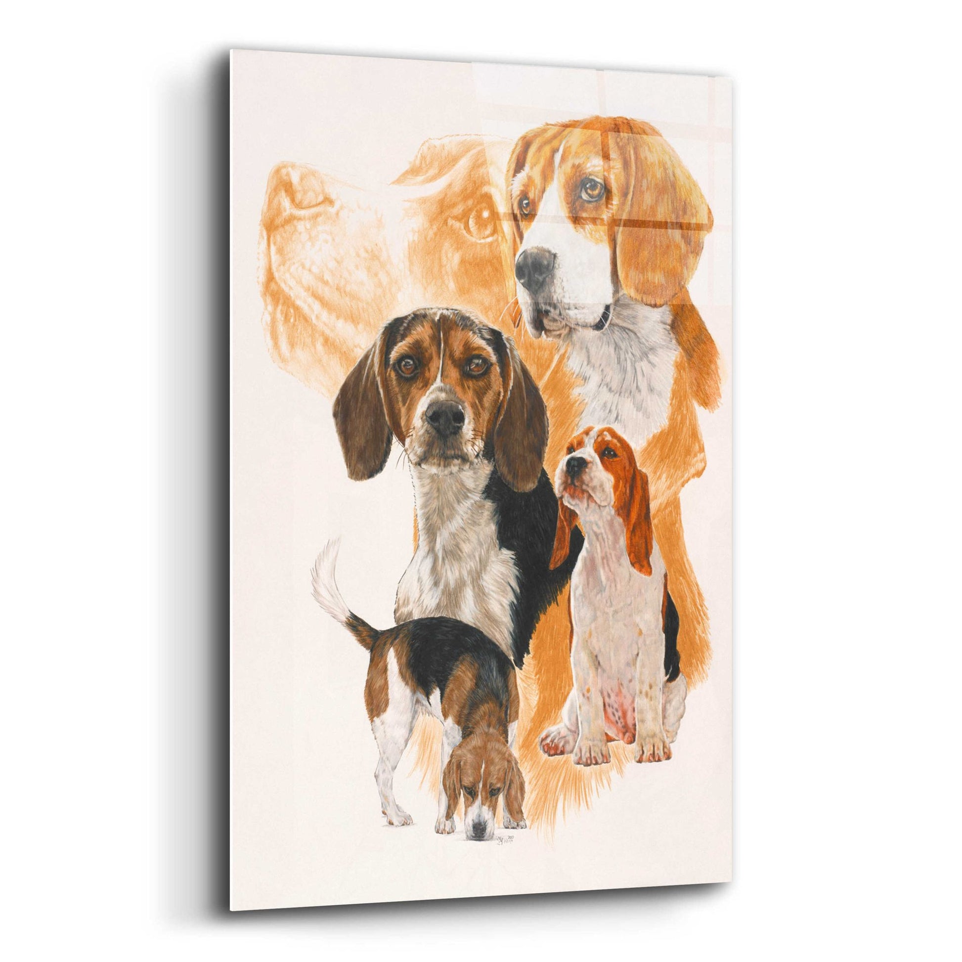 Epic Art 'Beagle and Ghost Image' by Barbara Keith, Acrylic Glass Wall Art,12x16