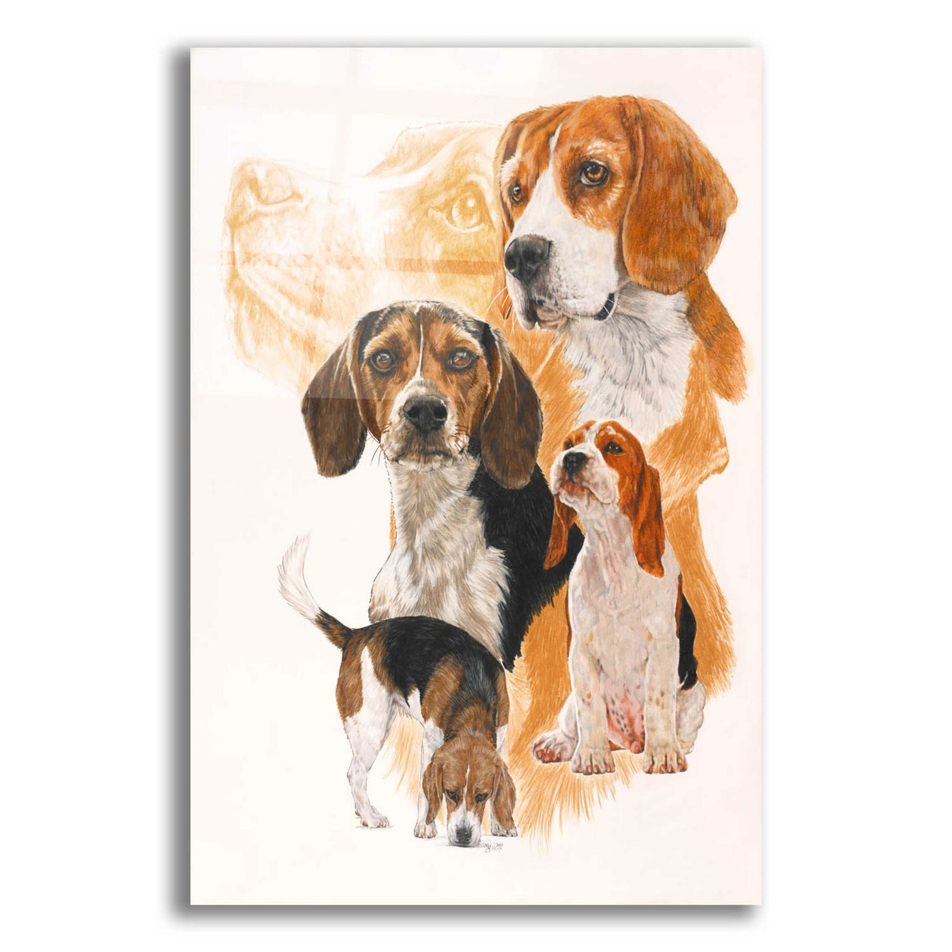 Epic Art 'Beagle and Ghost Image' by Barbara Keith, Acrylic Glass Wall Art,12x16