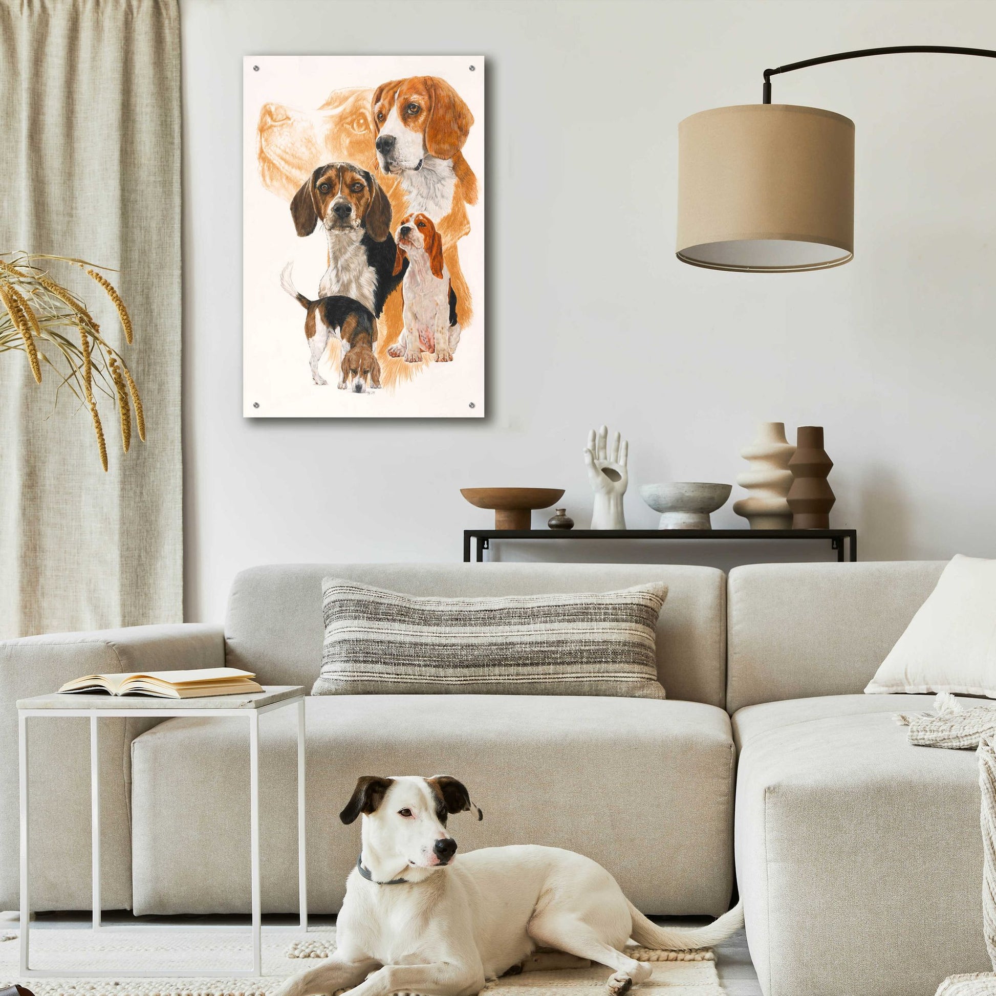 Epic Art 'Beagle and Ghost Image' by Barbara Keith, Acrylic Glass Wall Art,24x36