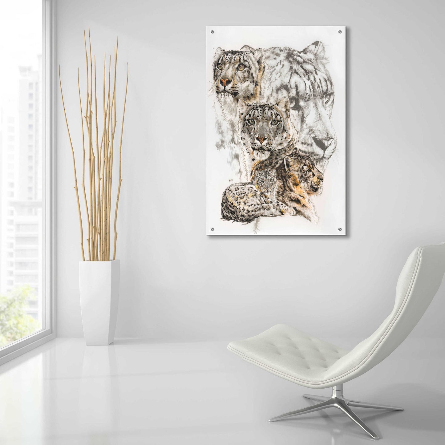 Epic Art 'Snow Leopard and Ghost Image' by Barbara Keith, Acrylic Glass Wall Art,24x36