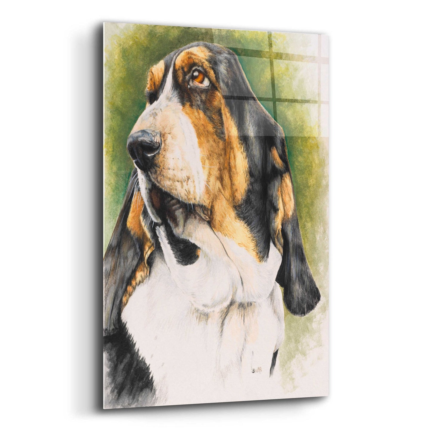 Epic Art 'Basset Hound' by Barbara Keith, Acrylic Glass Wall Art,12x16