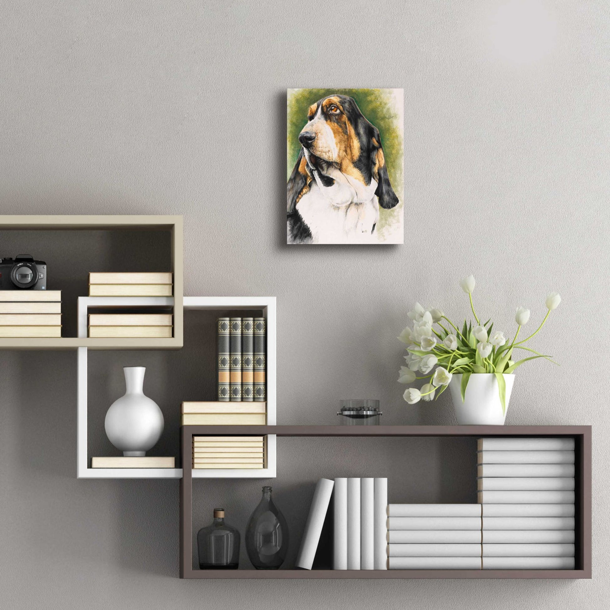 Epic Art 'Basset Hound' by Barbara Keith, Acrylic Glass Wall Art,12x16