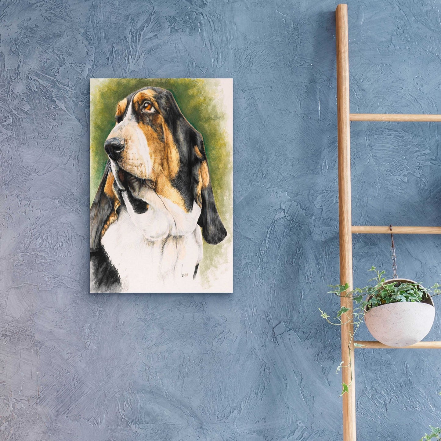 Epic Art 'Basset Hound' by Barbara Keith, Acrylic Glass Wall Art,16x24