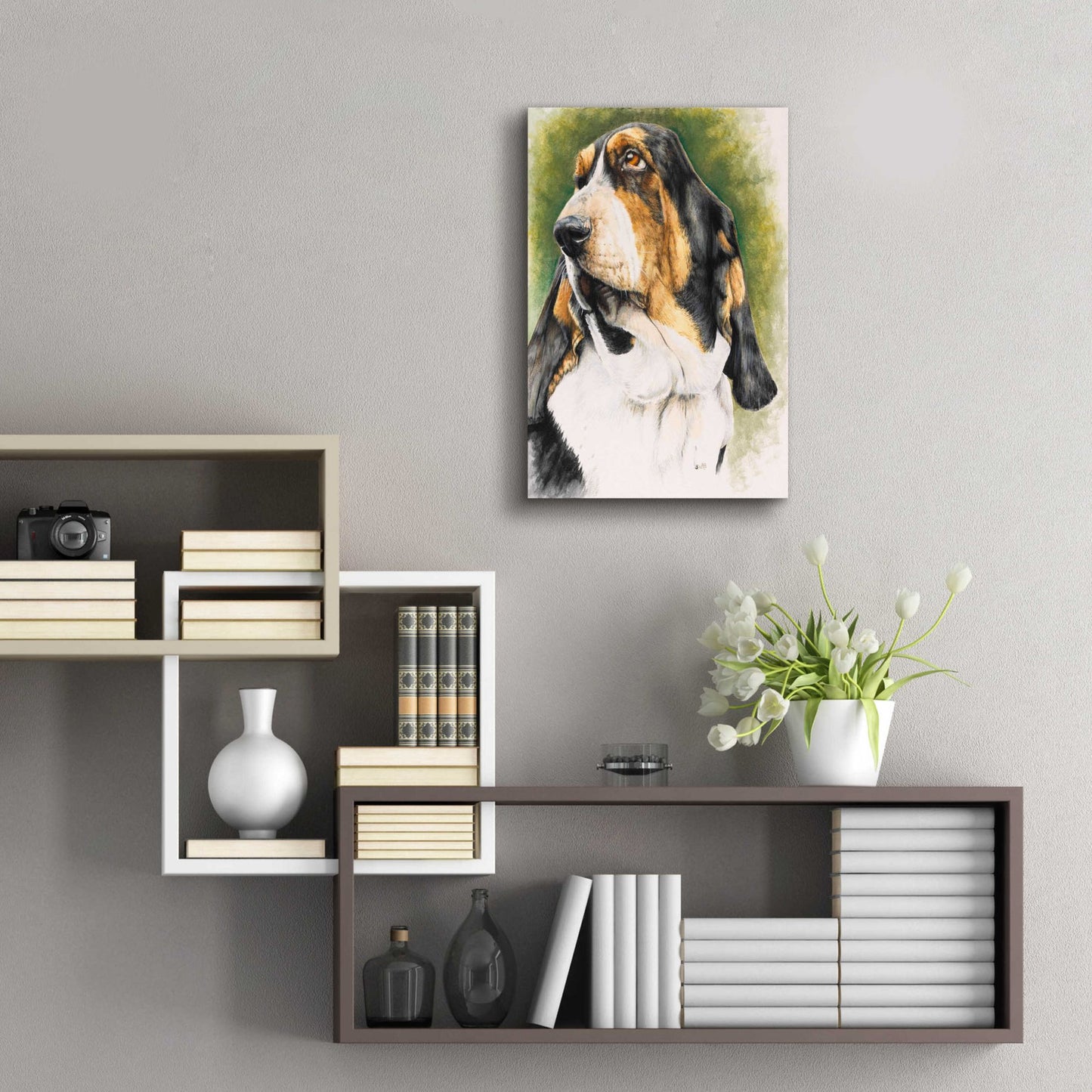 Epic Art 'Basset Hound' by Barbara Keith, Acrylic Glass Wall Art,16x24