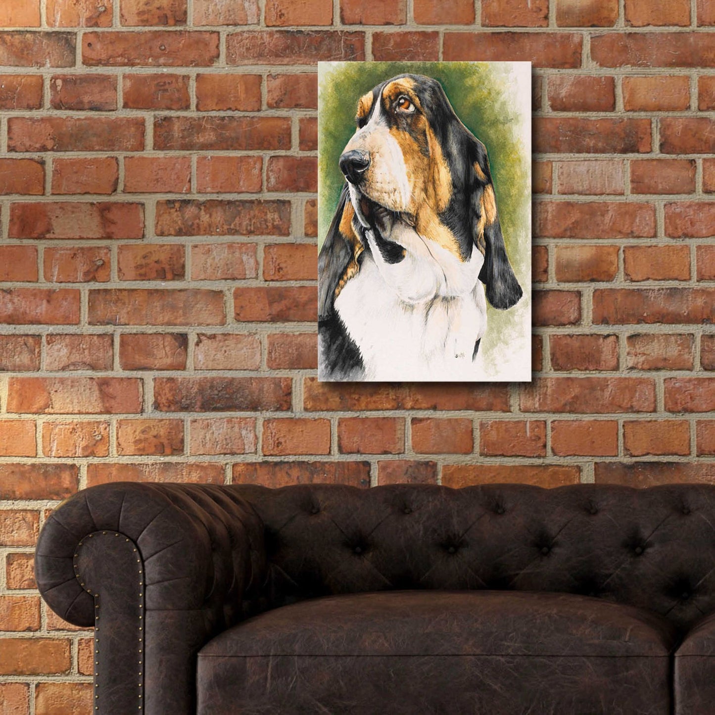 Epic Art 'Basset Hound' by Barbara Keith, Acrylic Glass Wall Art,16x24