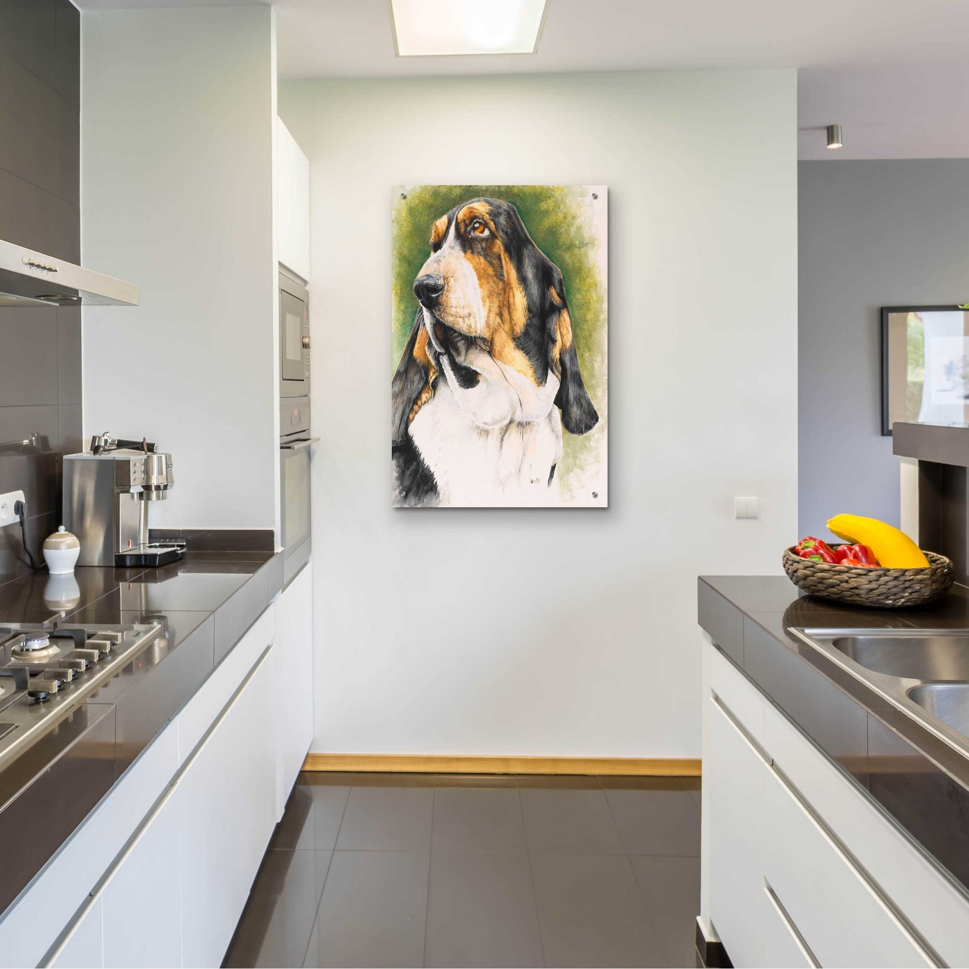 Epic Art 'Basset Hound' by Barbara Keith, Acrylic Glass Wall Art,24x36