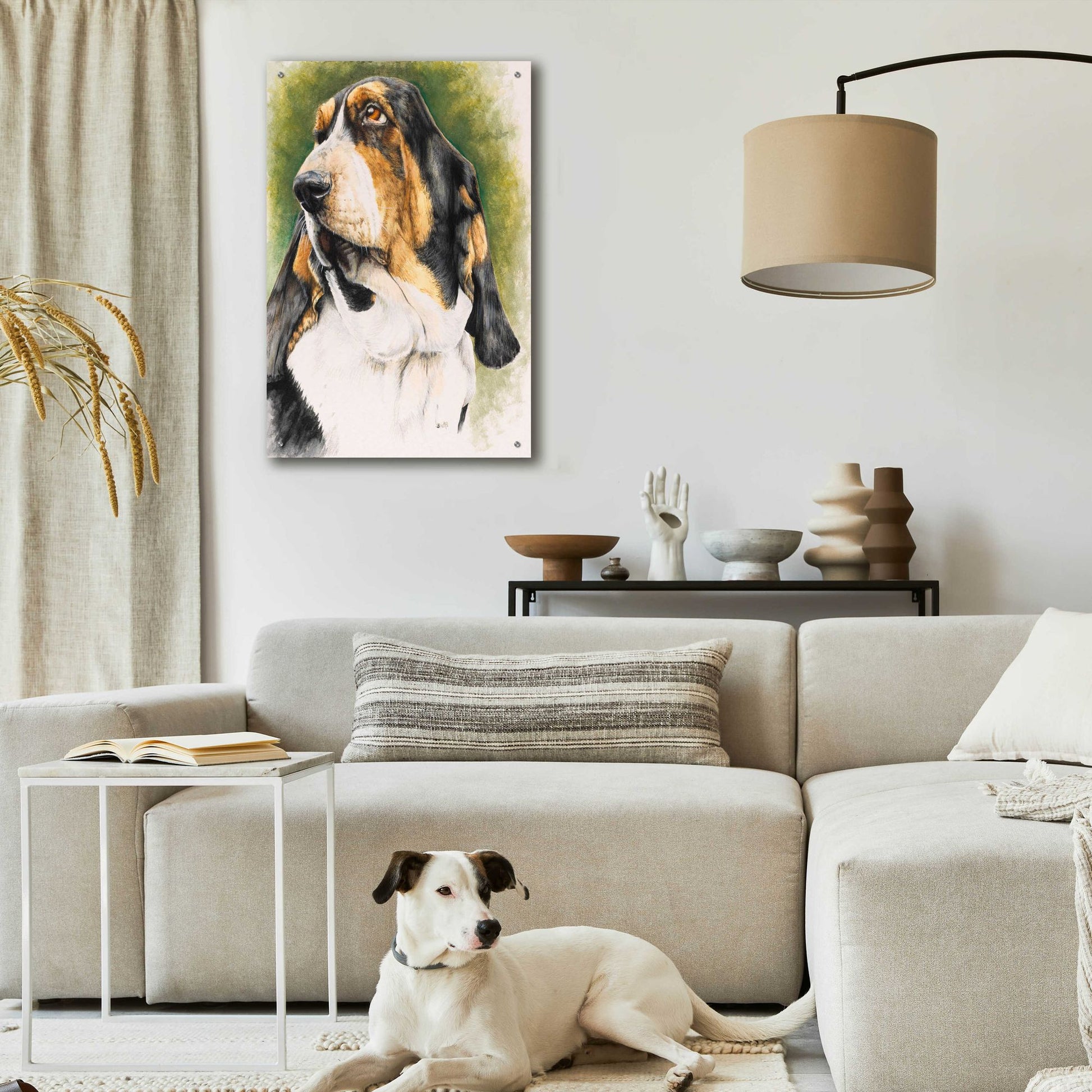 Epic Art 'Basset Hound' by Barbara Keith, Acrylic Glass Wall Art,24x36