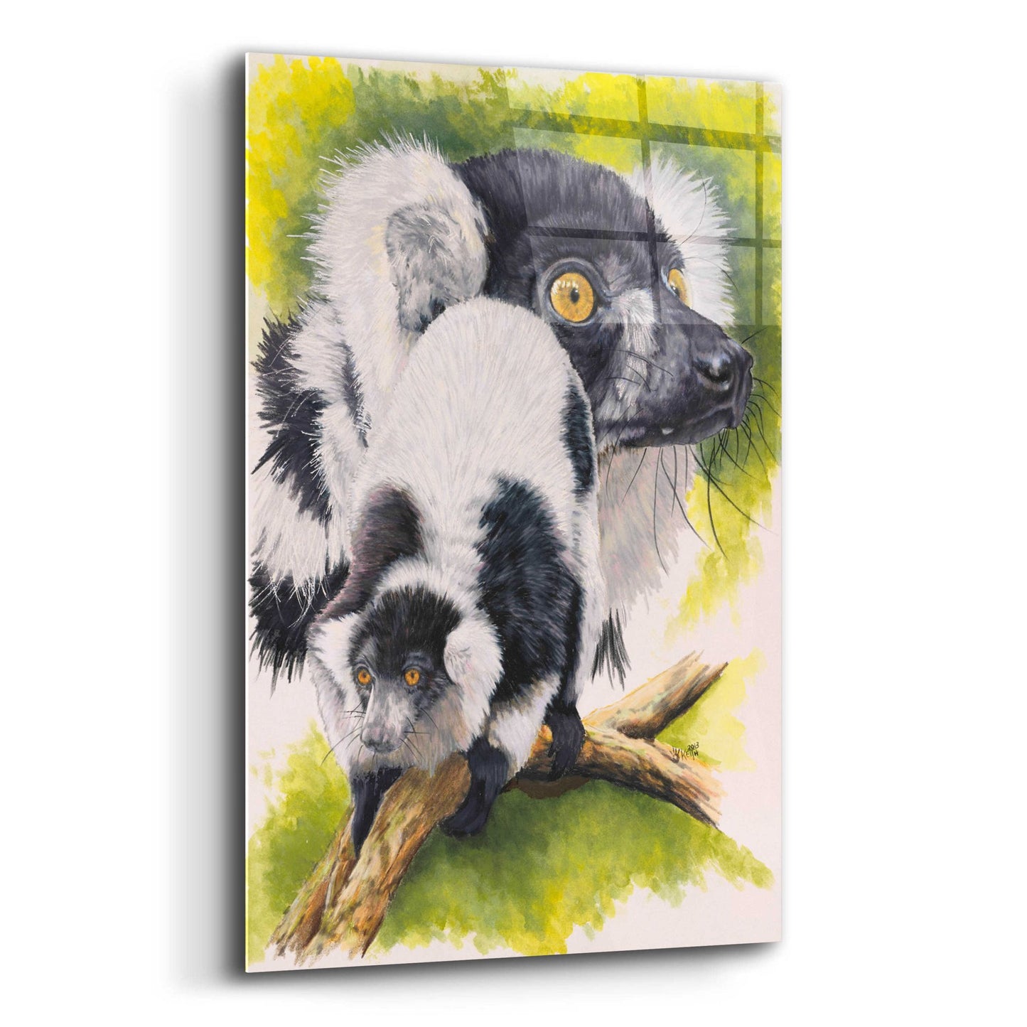 Epic Art 'Black & White Lemur' by Barbara Keith, Acrylic Glass Wall Art,12x16