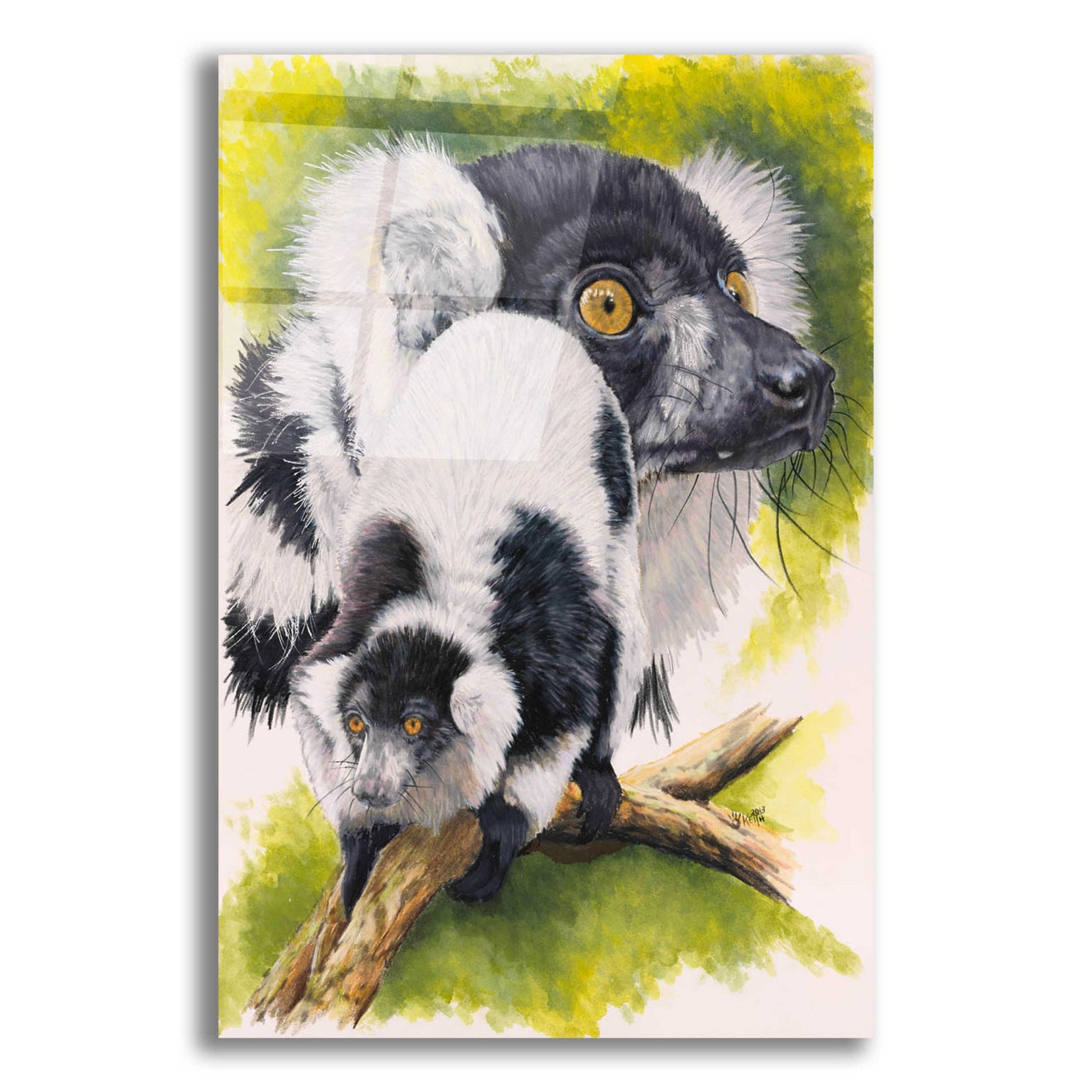 Epic Art 'Black & White Lemur' by Barbara Keith, Acrylic Glass Wall Art,12x16