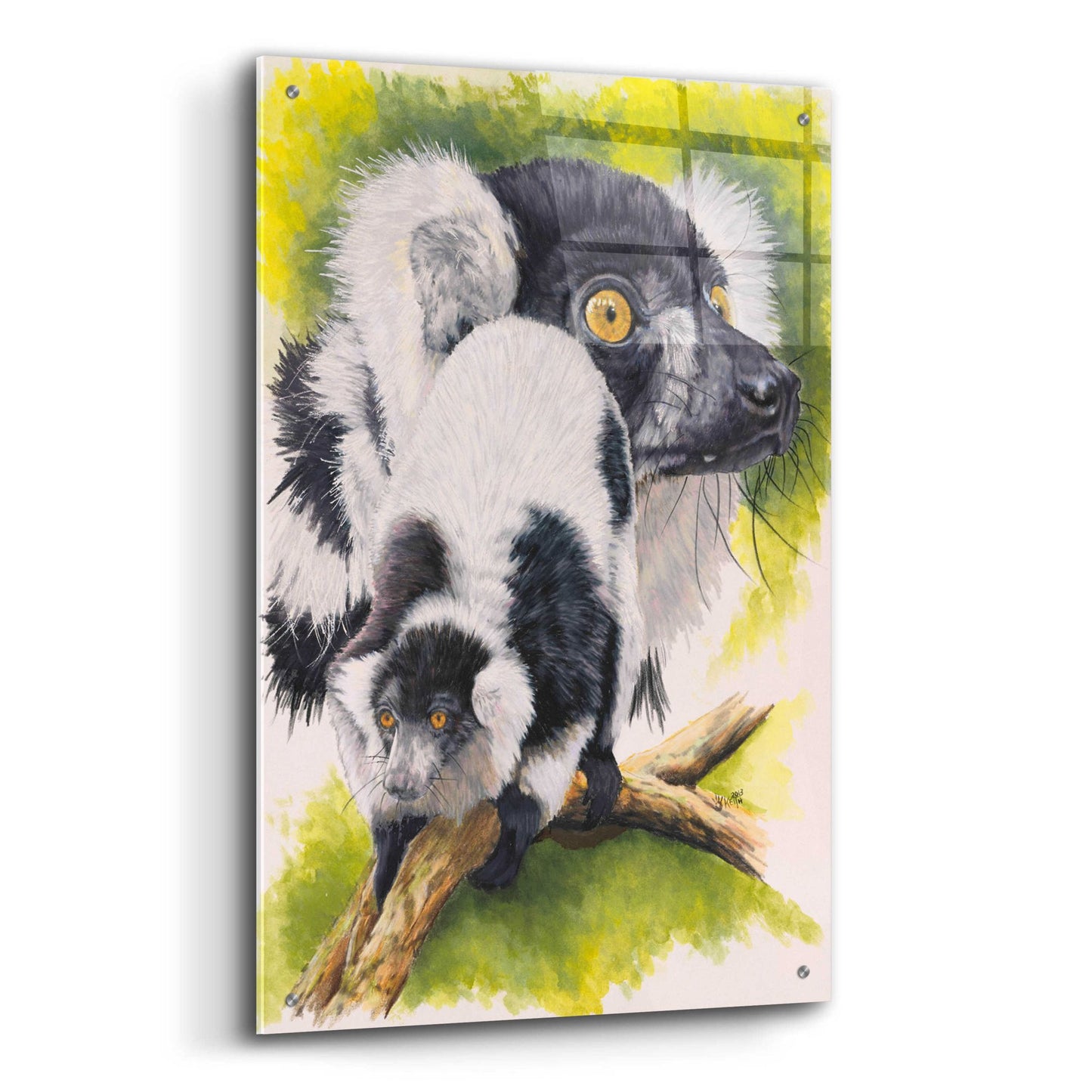 Epic Art 'Black & White Lemur' by Barbara Keith, Acrylic Glass Wall Art,24x36