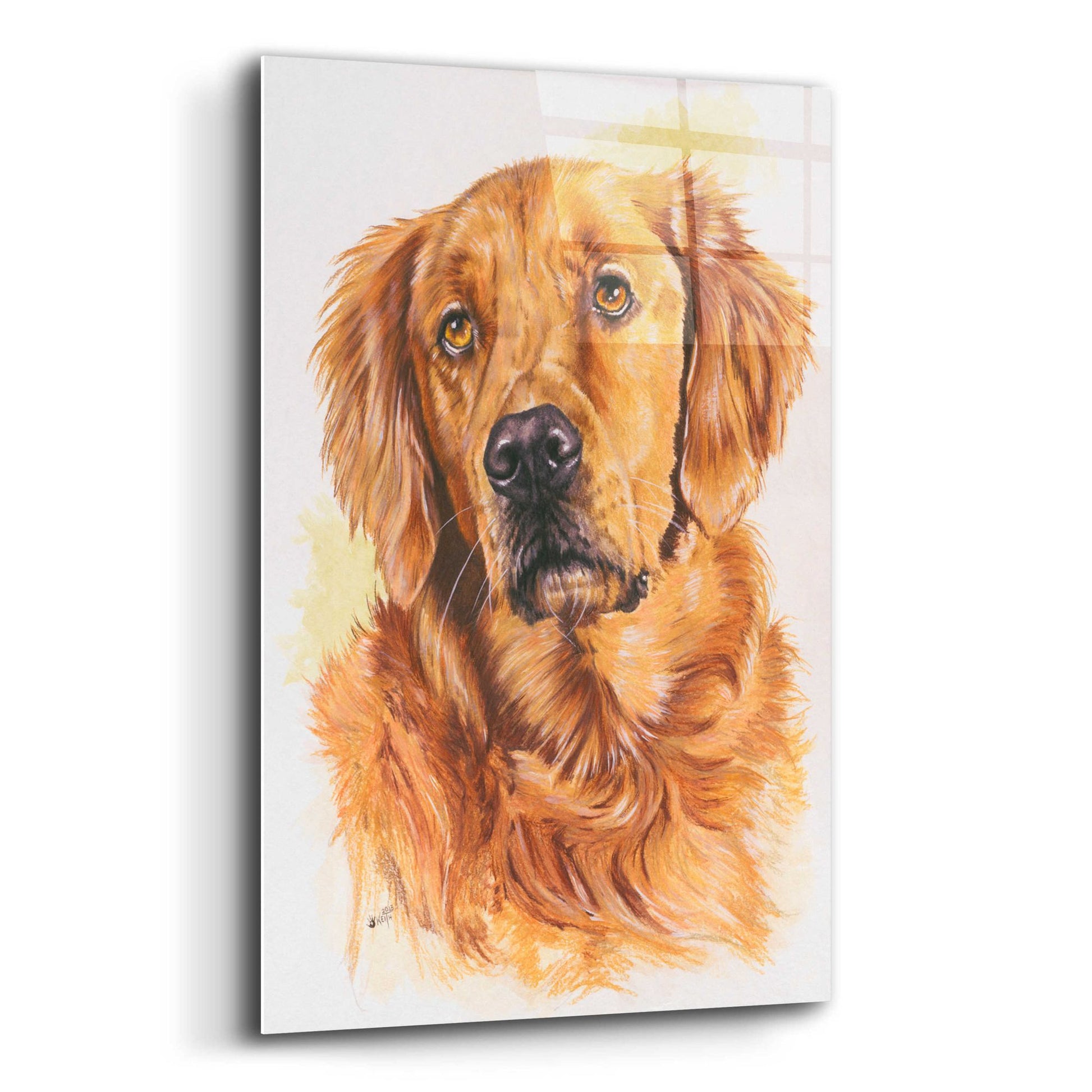 Epic Art 'Golden Retriever 2' by Barbara Keith, Acrylic Glass Wall Art,12x16