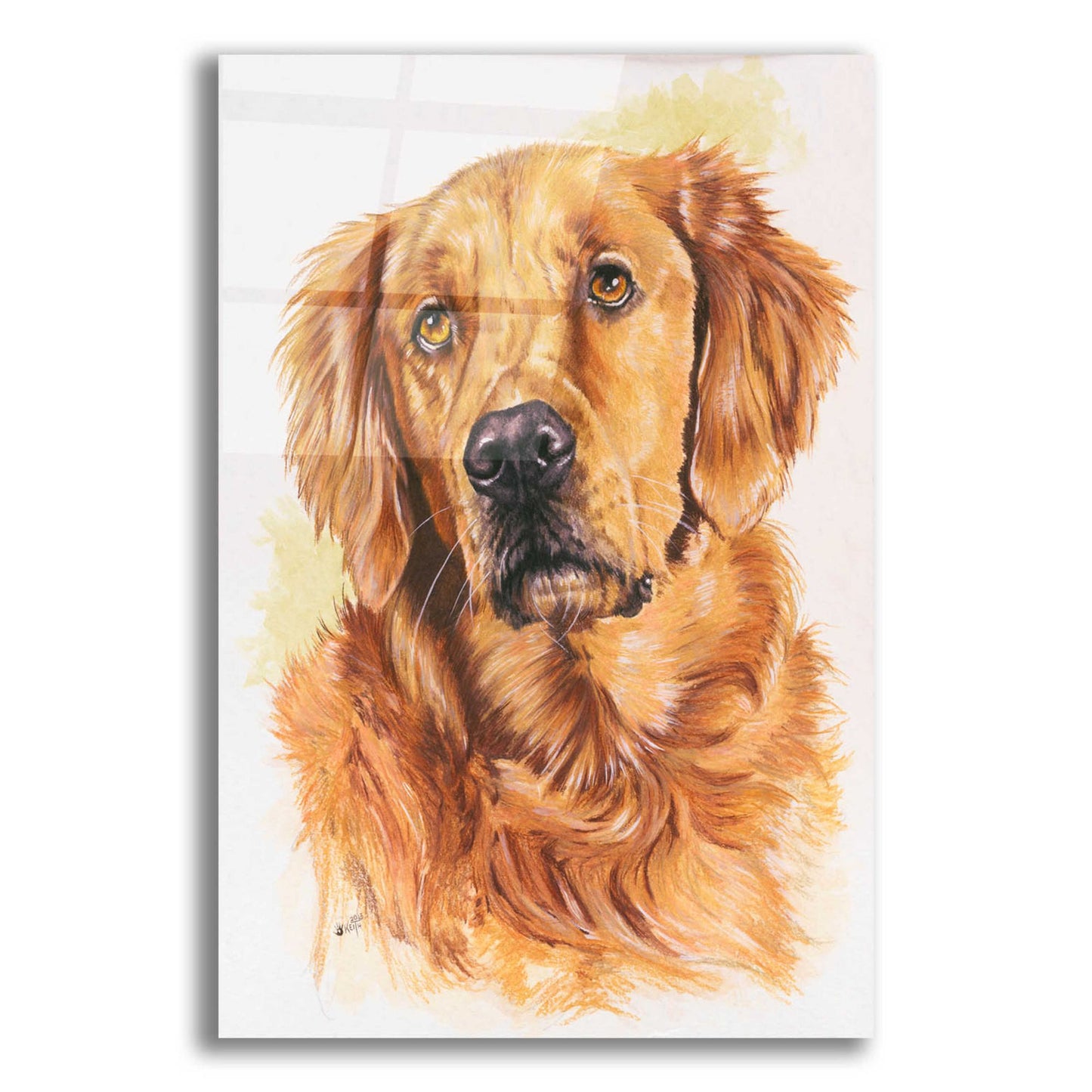 Epic Art 'Golden Retriever 2' by Barbara Keith, Acrylic Glass Wall Art,12x16