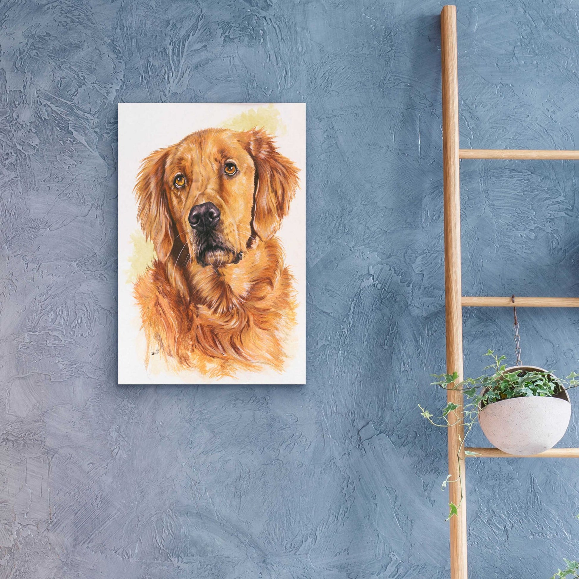 Epic Art 'Golden Retriever 2' by Barbara Keith, Acrylic Glass Wall Art,16x24