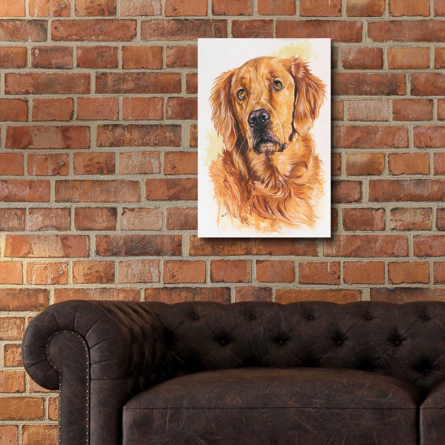 Epic Art 'Golden Retriever 2' by Barbara Keith, Acrylic Glass Wall Art,16x24