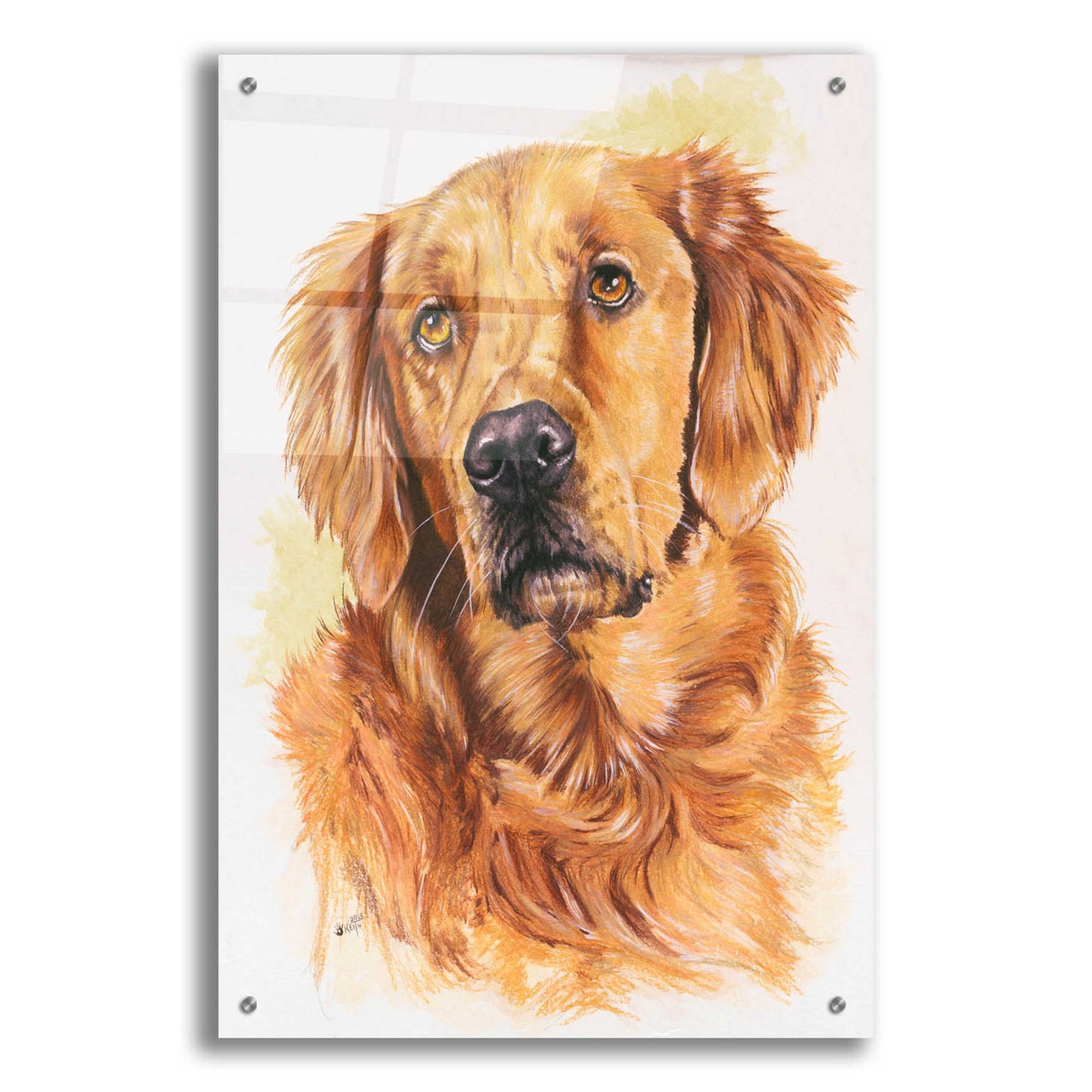 Epic Art 'Golden Retriever 2' by Barbara Keith, Acrylic Glass Wall Art,24x36