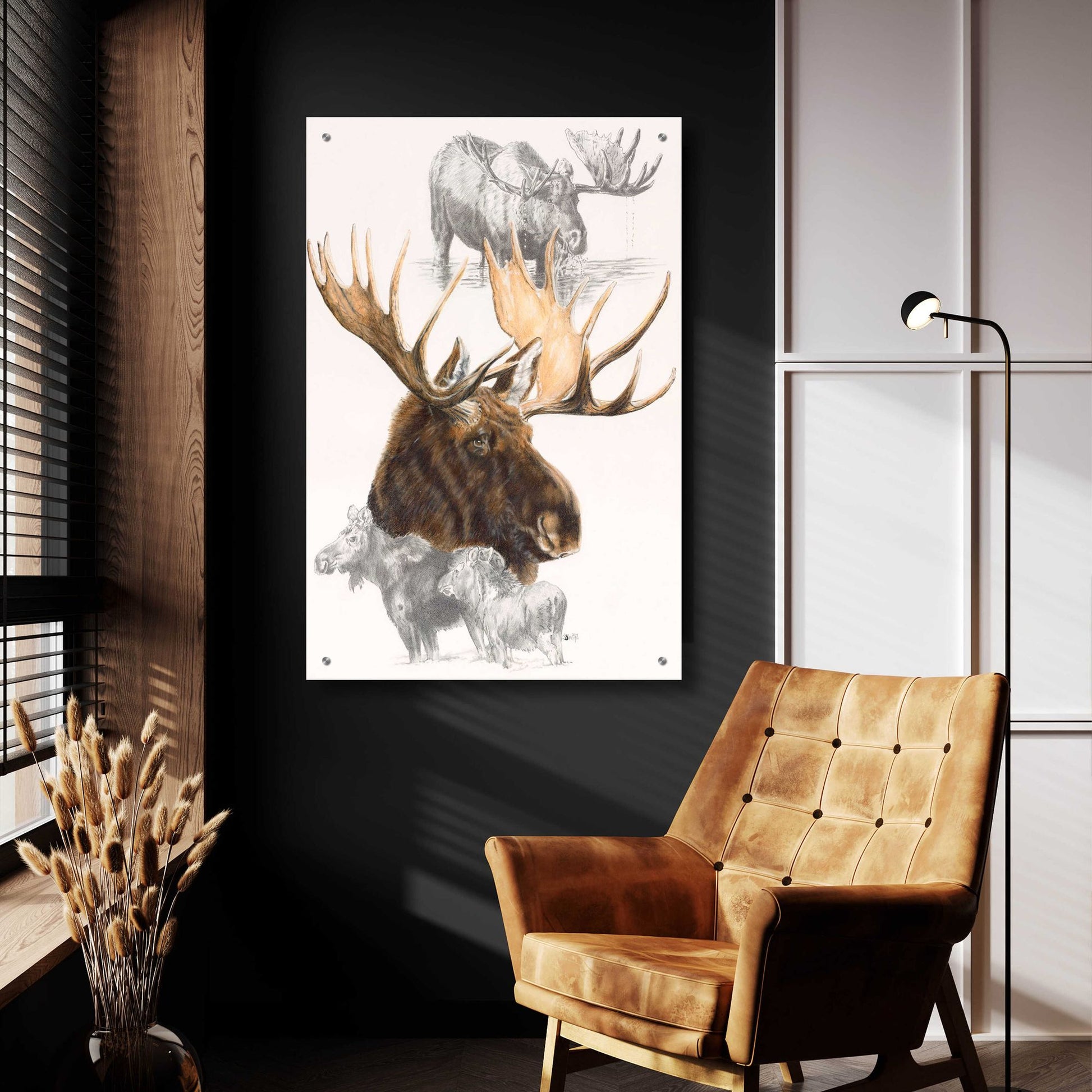 Epic Art 'Moose' by Barbara Keith, Acrylic Glass Wall Art,24x36