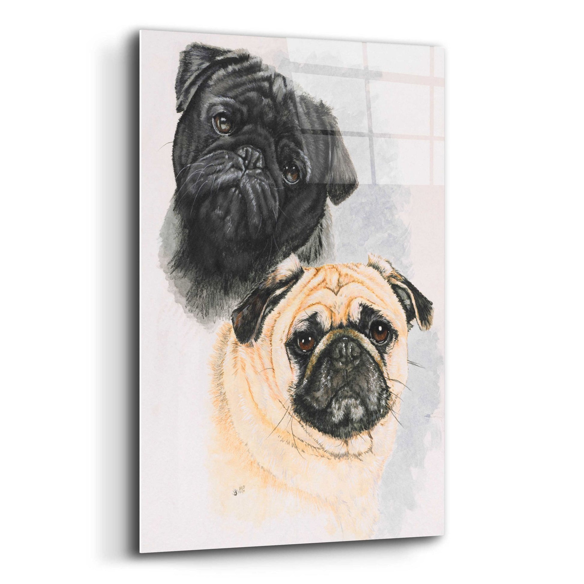 Epic Art 'Pugs' by Barbara Keith, Acrylic Glass Wall Art,12x16