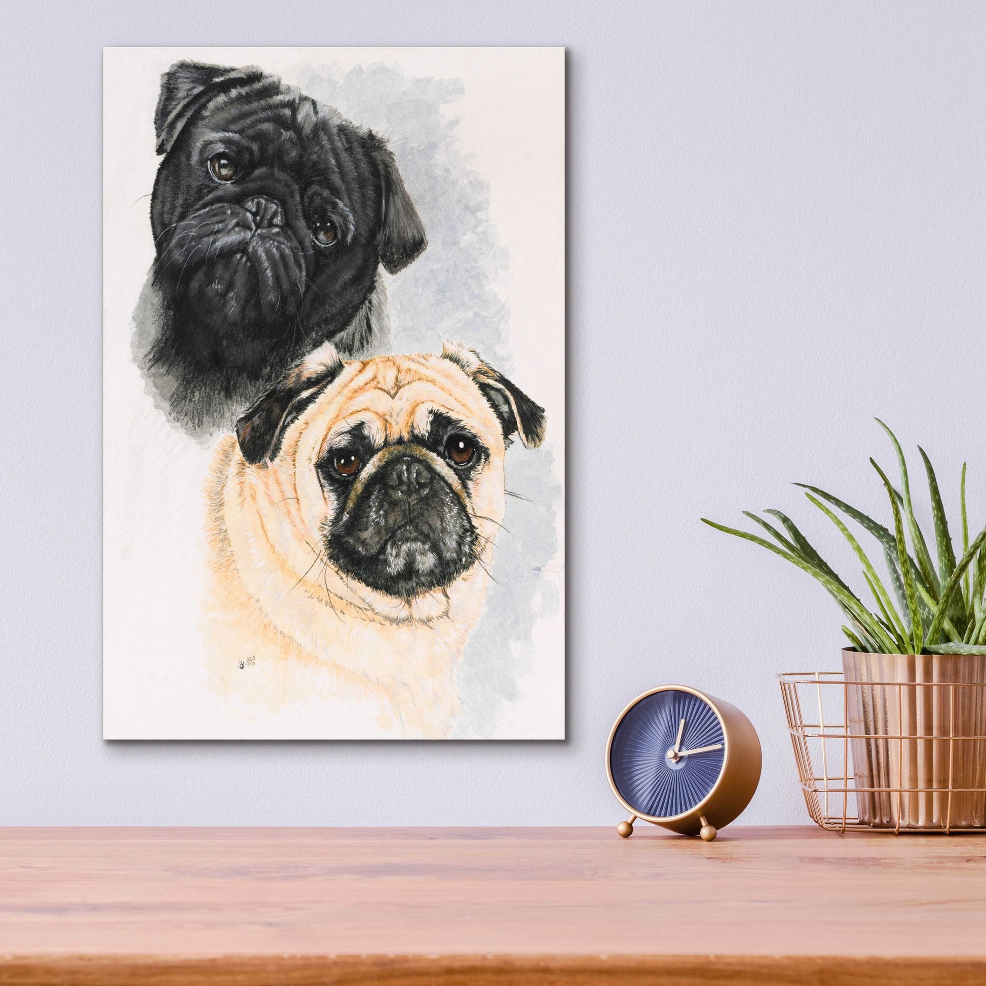 Epic Art 'Pugs' by Barbara Keith, Acrylic Glass Wall Art,12x16