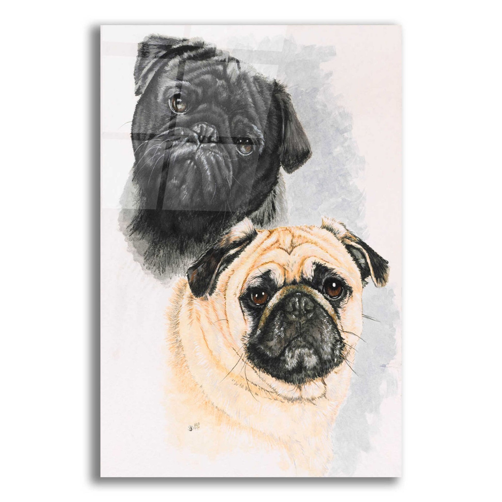 Epic Art 'Pugs' by Barbara Keith, Acrylic Glass Wall Art,12x16