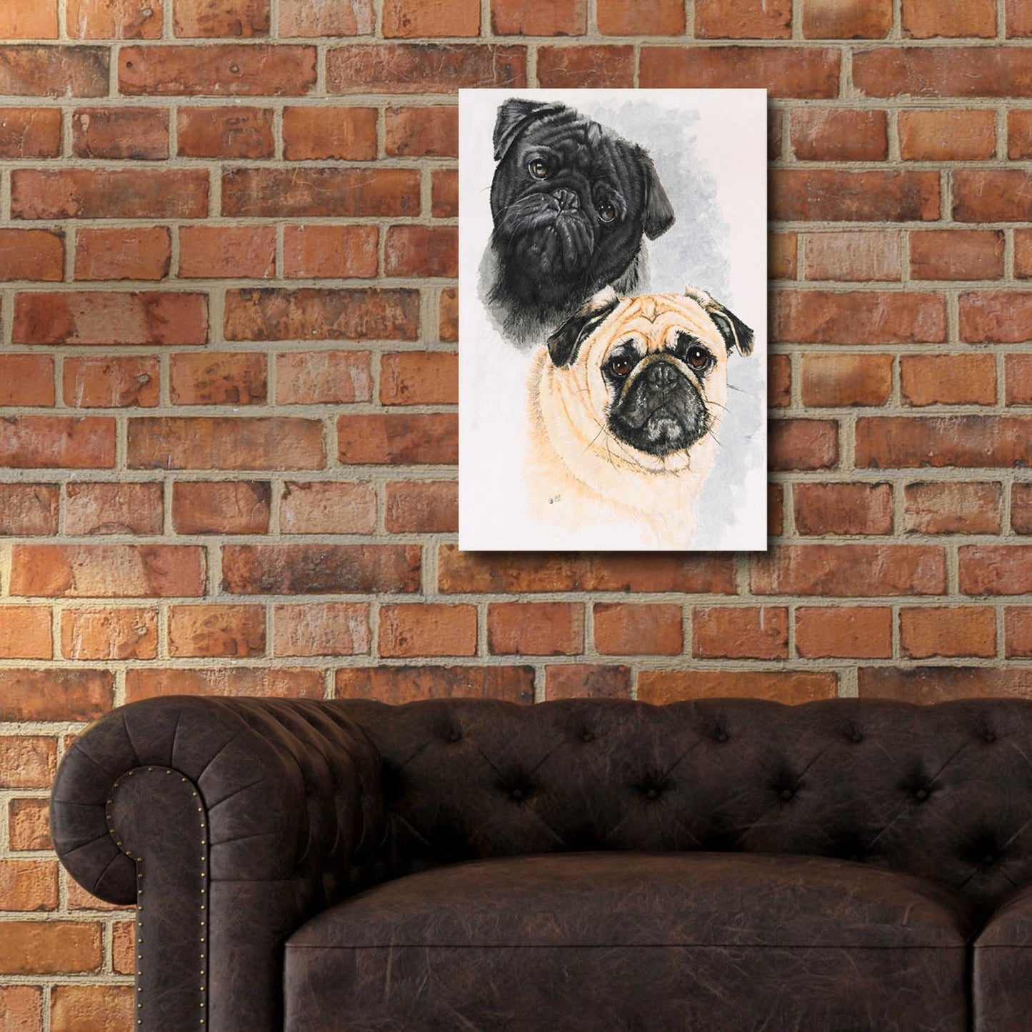 Epic Art 'Pugs' by Barbara Keith, Acrylic Glass Wall Art,16x24