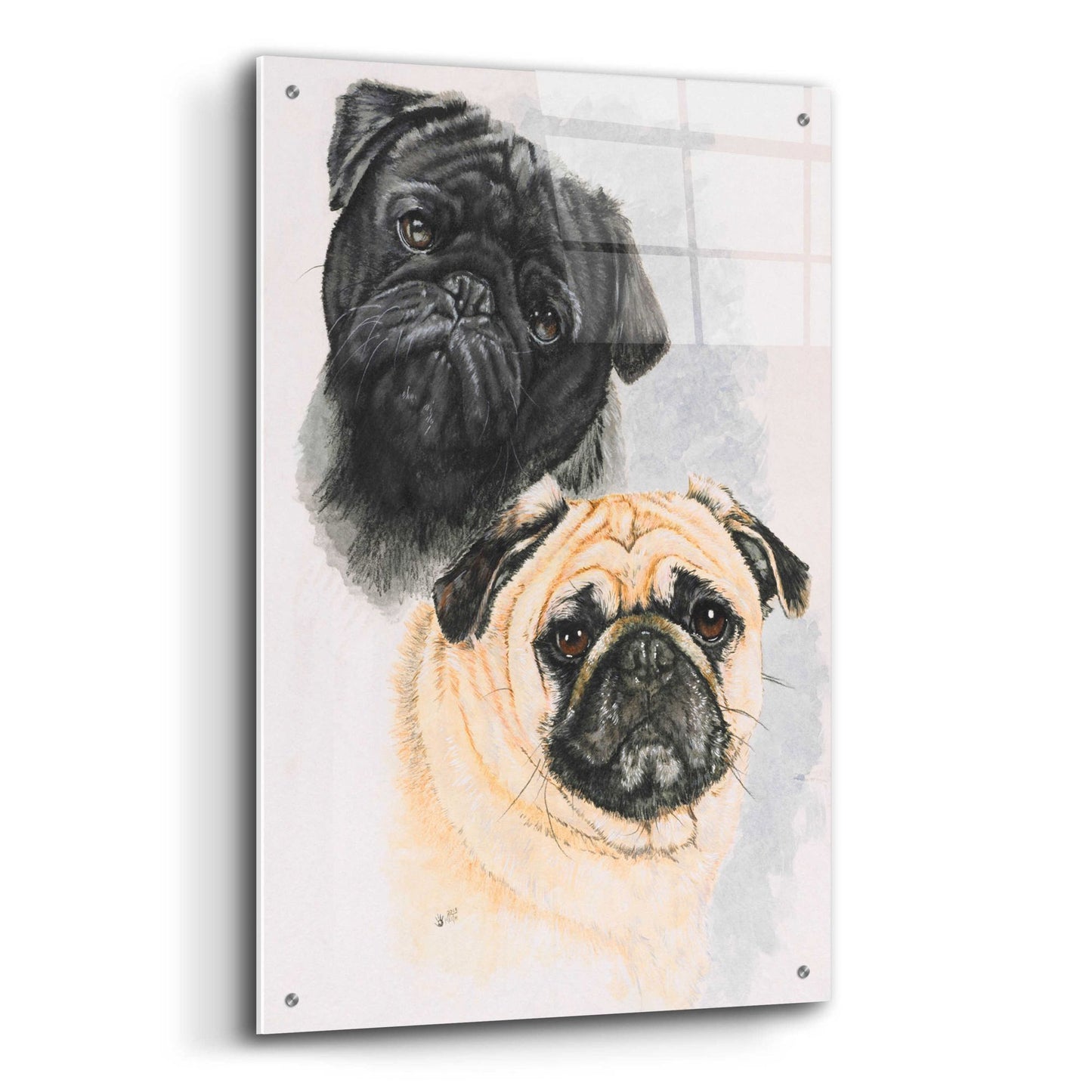 Epic Art 'Pugs' by Barbara Keith, Acrylic Glass Wall Art,24x36