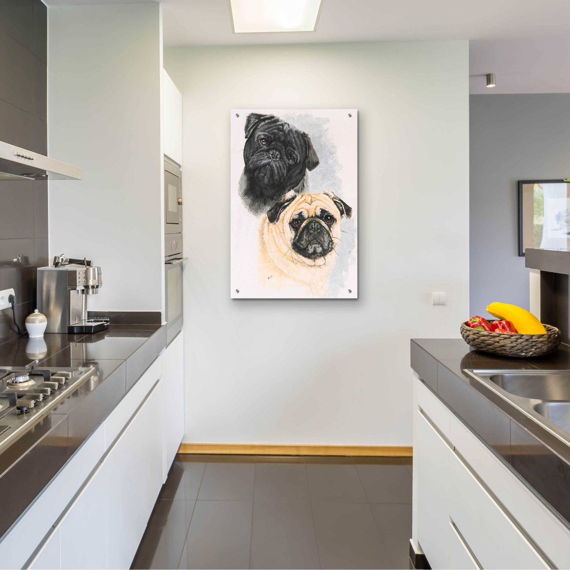 Epic Art 'Pugs' by Barbara Keith, Acrylic Glass Wall Art,24x36