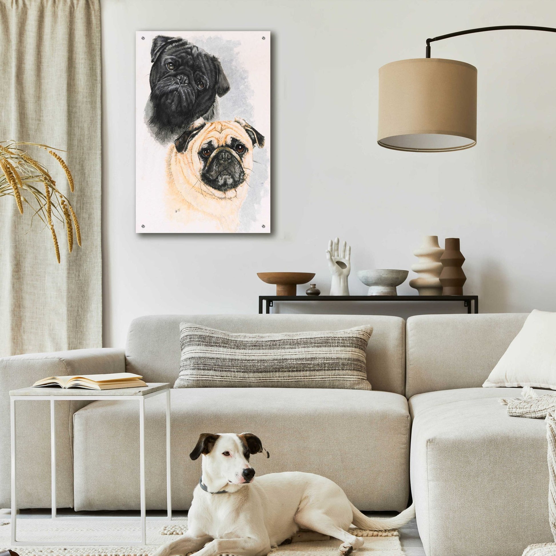 Epic Art 'Pugs' by Barbara Keith, Acrylic Glass Wall Art,24x36