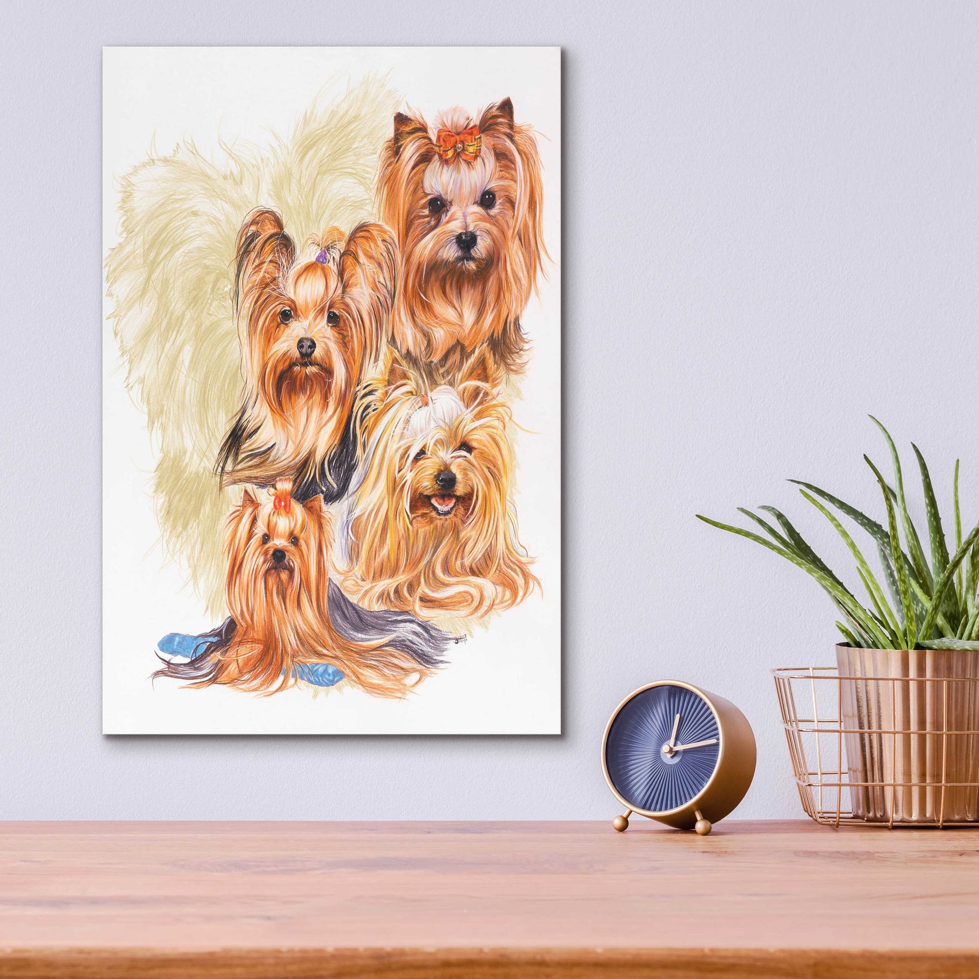 Epic Art 'Yorkshire Terrier' by Barbara Keith, Acrylic Glass Wall Art,12x16