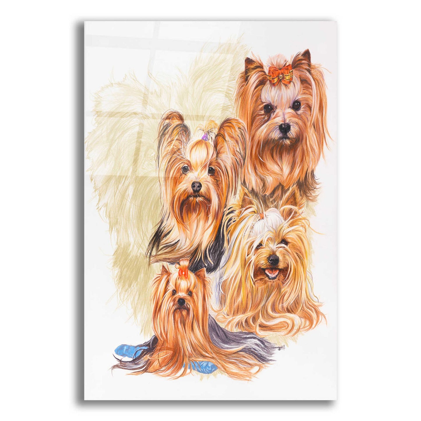 Epic Art 'Yorkshire Terrier' by Barbara Keith, Acrylic Glass Wall Art,12x16