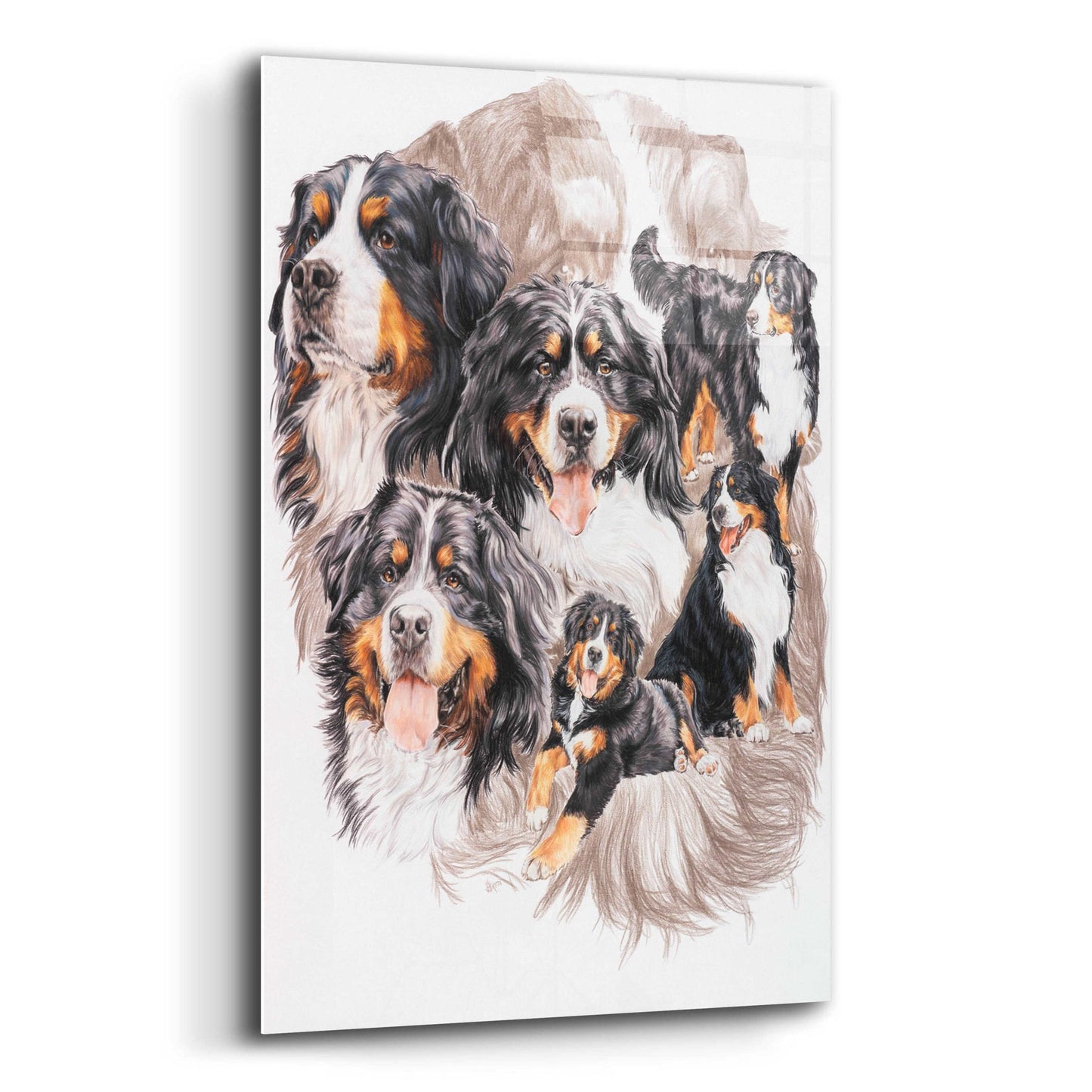 Epic Art 'Bernese Mountain Dog with Ghost' by Barbara Keith, Acrylic Glass Wall Art,12x16