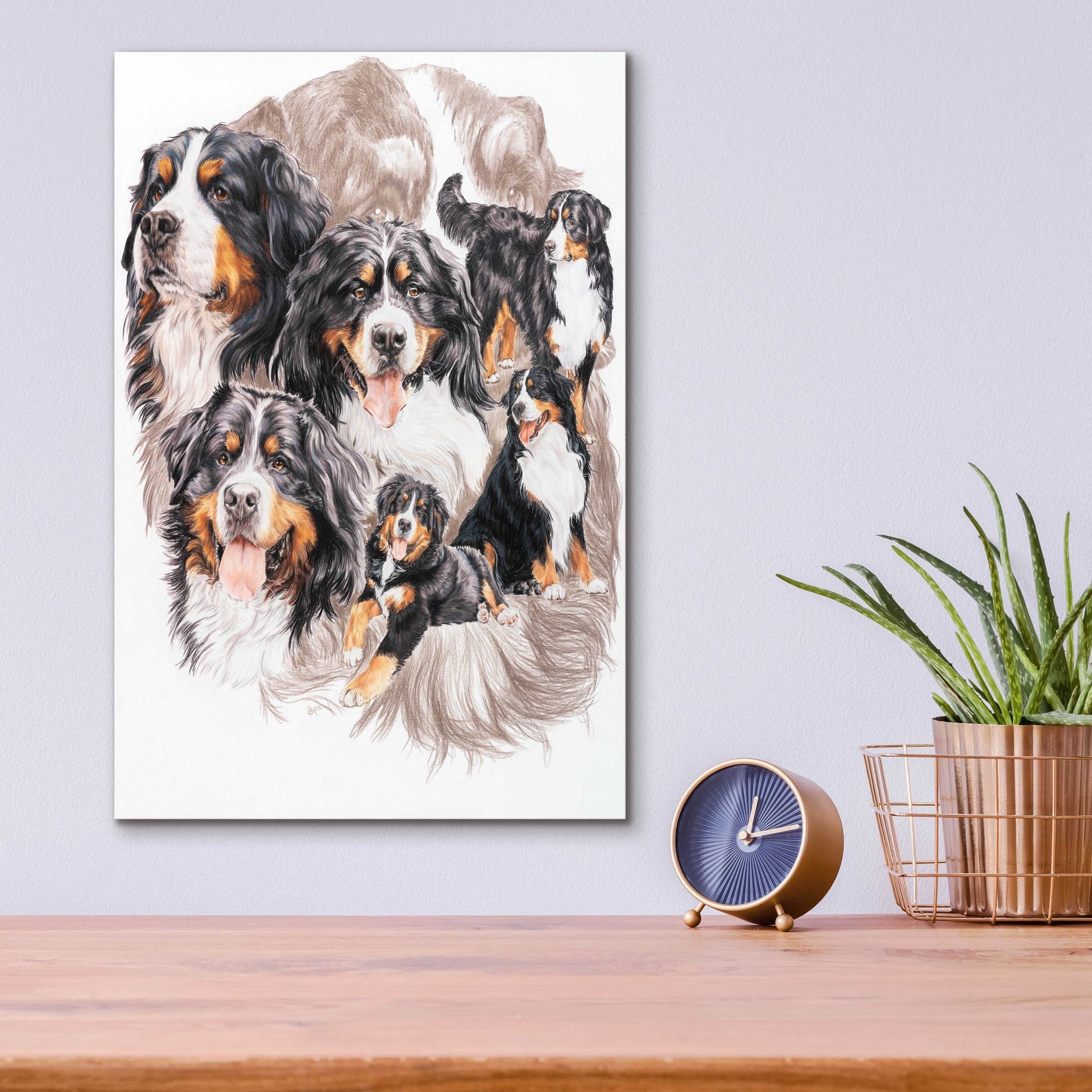 Epic Art 'Bernese Mountain Dog with Ghost' by Barbara Keith, Acrylic Glass Wall Art,12x16