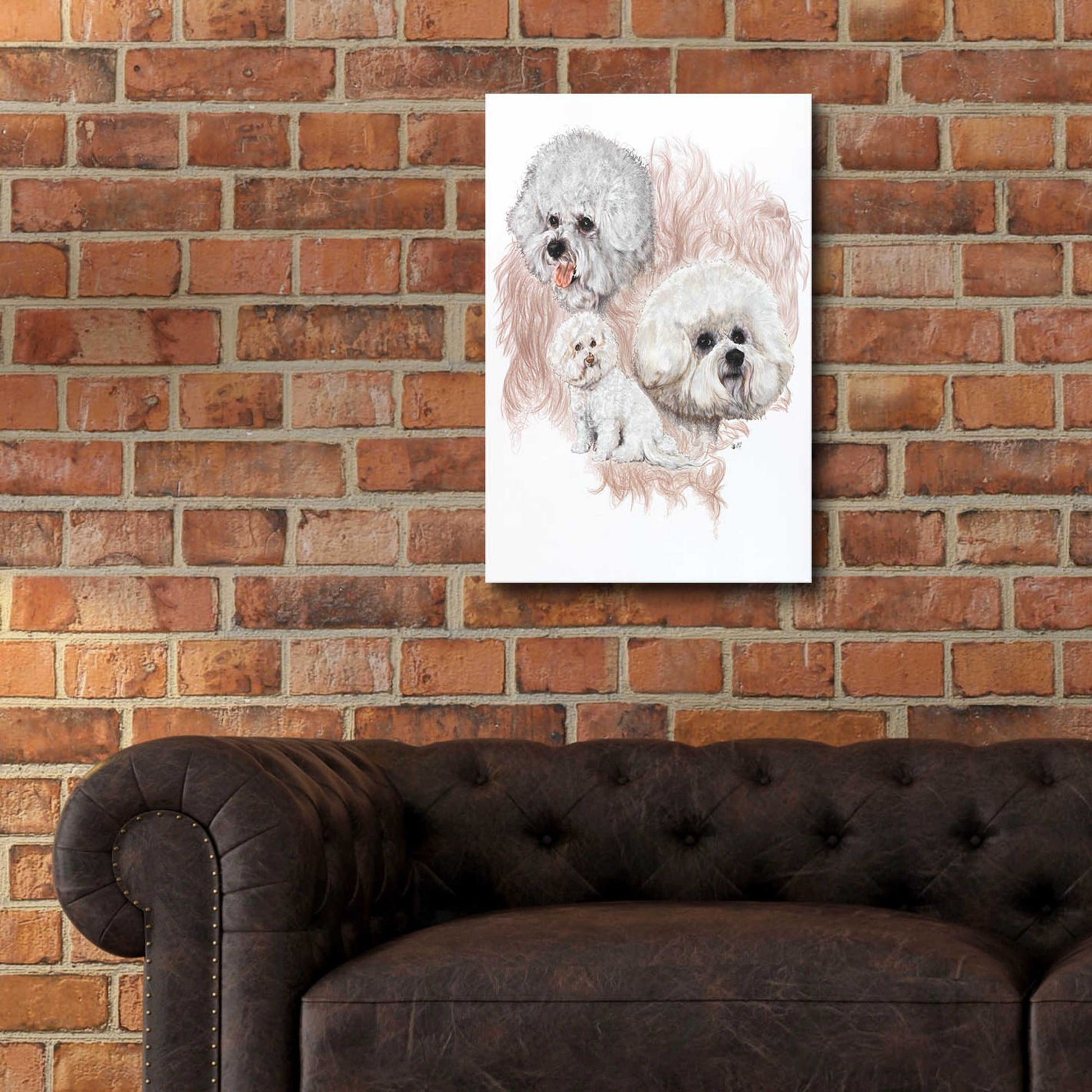 Epic Art 'Bichon Frise' by Barbara Keith, Acrylic Glass Wall Art,16x24