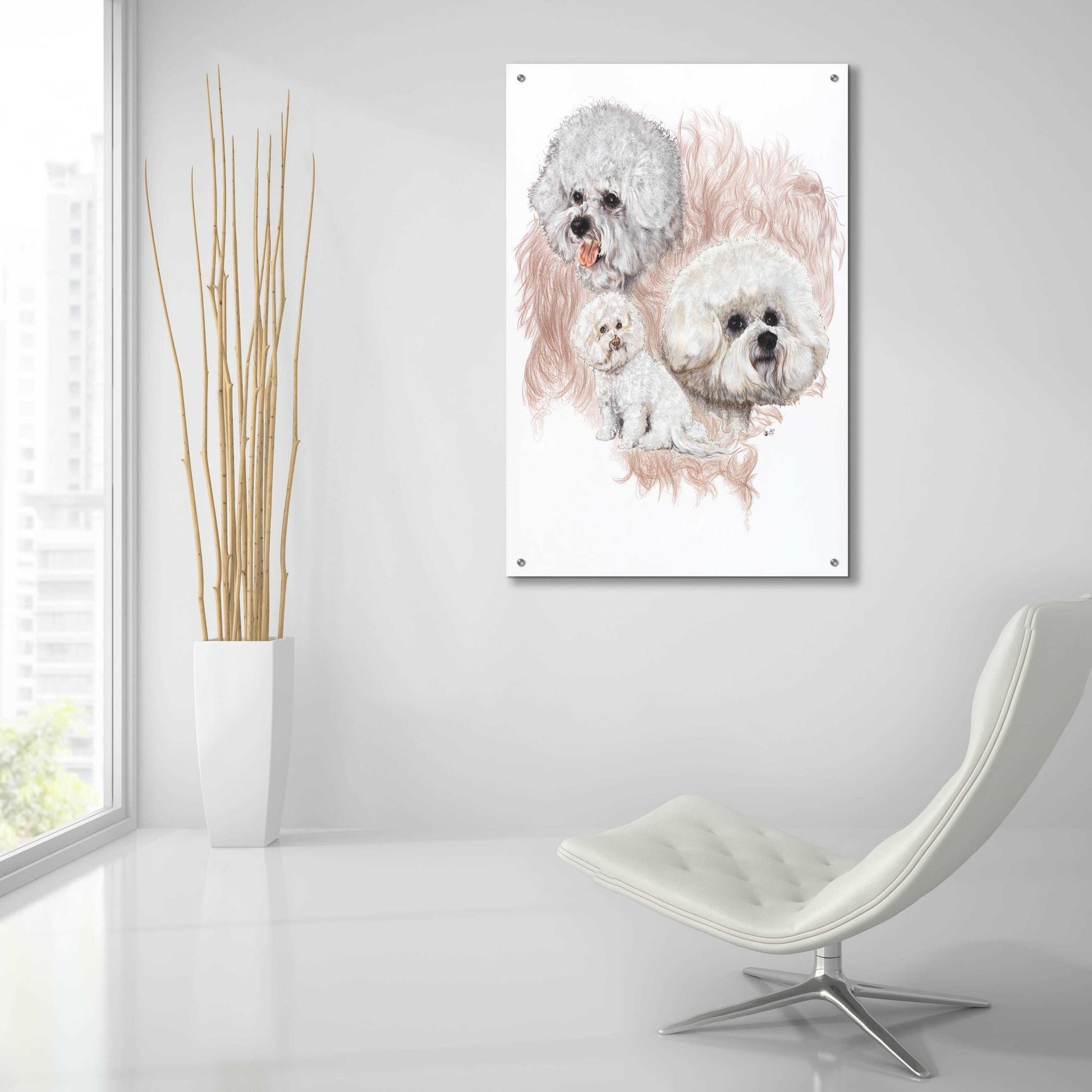 Epic Art 'Bichon Frise' by Barbara Keith, Acrylic Glass Wall Art,24x36