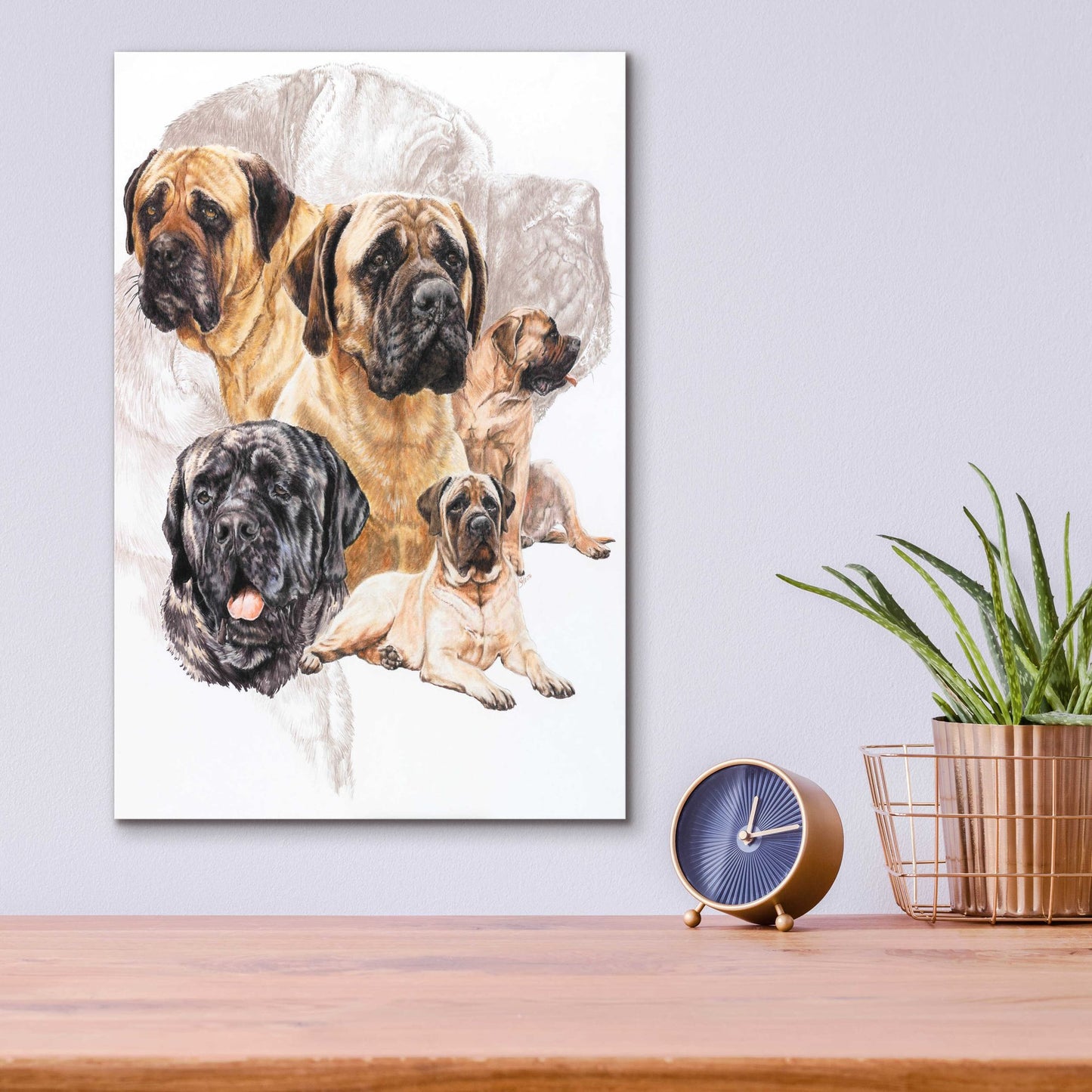 Epic Art 'Bull Mastiff with Ghost' by Barbara Keith, Acrylic Glass Wall Art,12x16