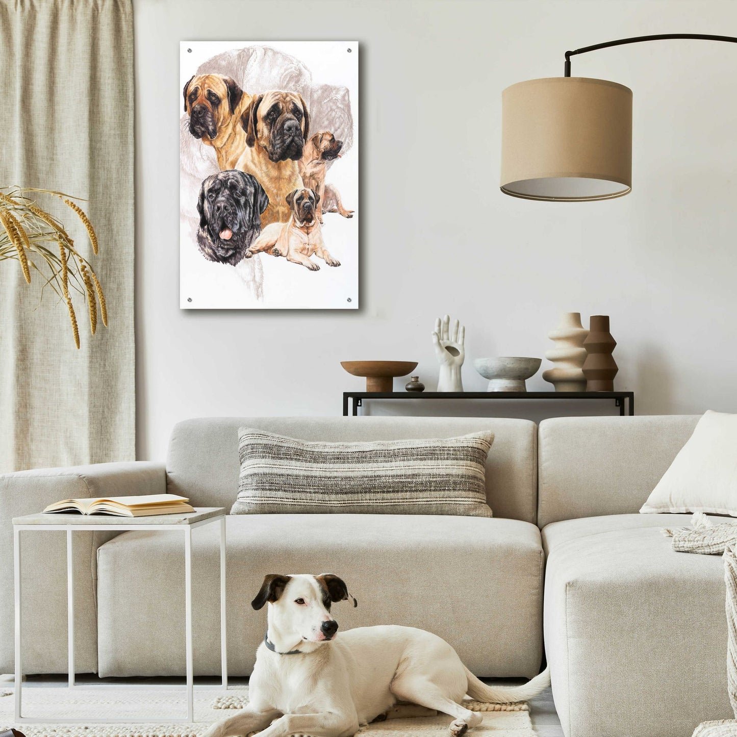 Epic Art 'Bull Mastiff with Ghost' by Barbara Keith, Acrylic Glass Wall Art,24x36