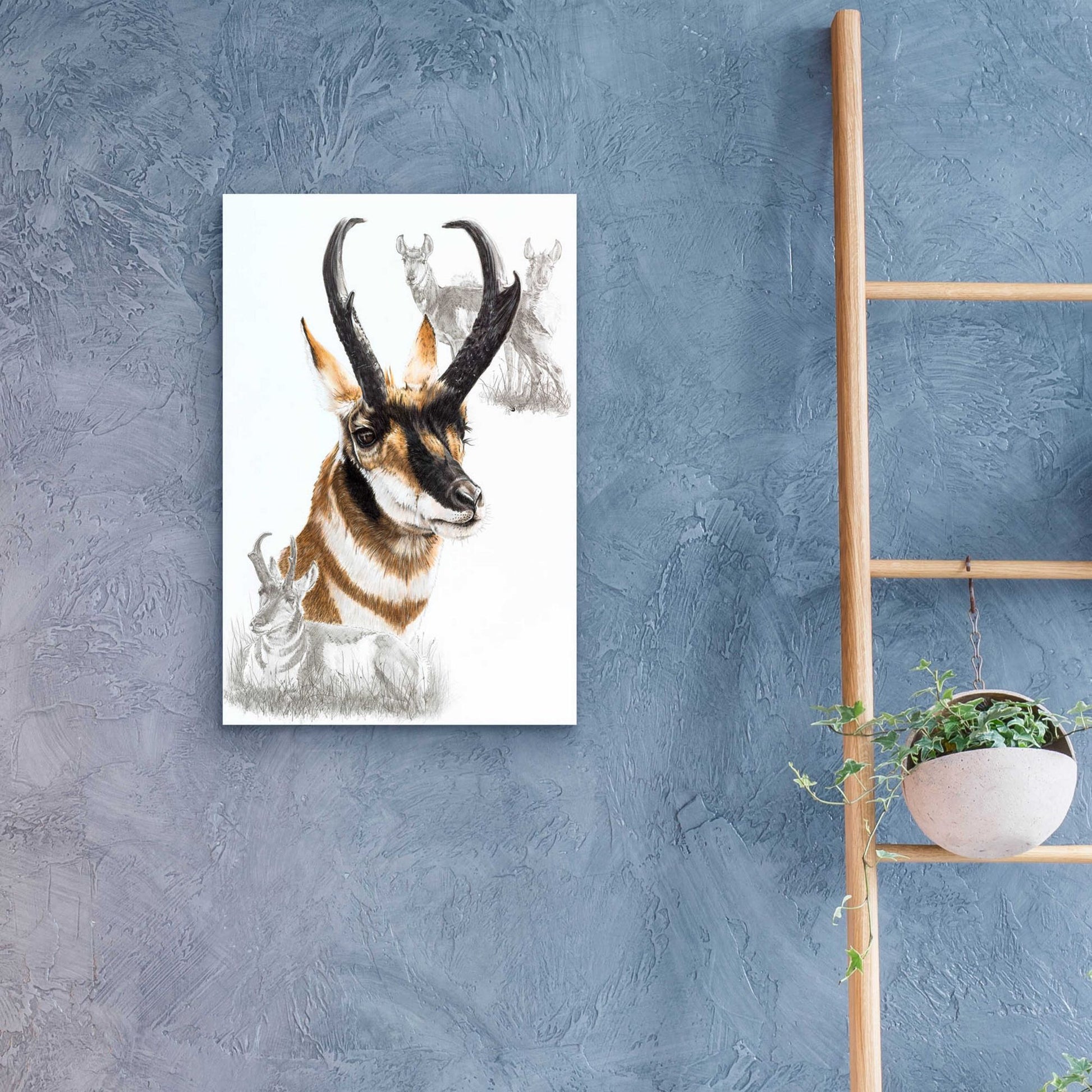 Epic Art 'Pronghorn' by Barbara Keith, Acrylic Glass Wall Art,16x24