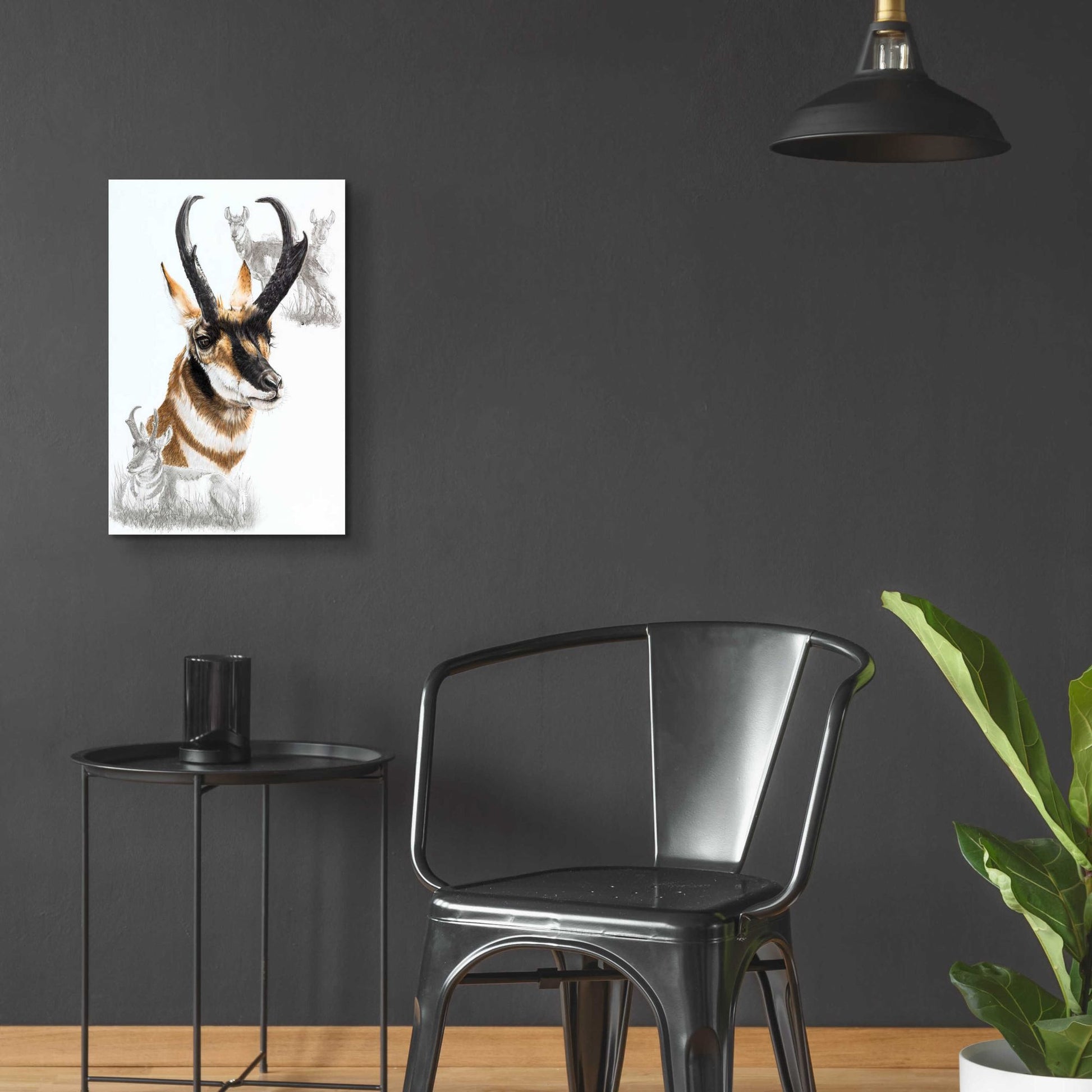 Epic Art 'Pronghorn' by Barbara Keith, Acrylic Glass Wall Art,16x24