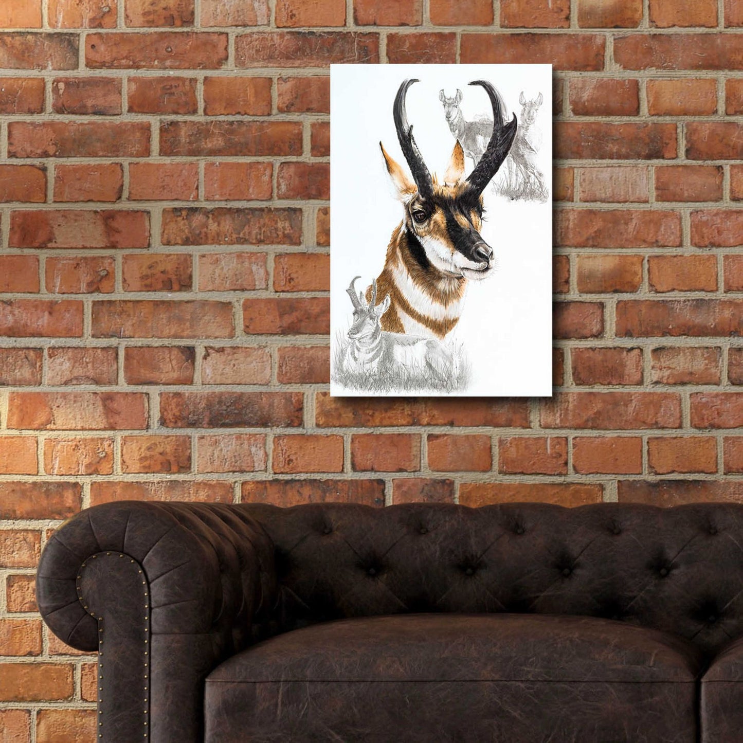 Epic Art 'Pronghorn' by Barbara Keith, Acrylic Glass Wall Art,16x24