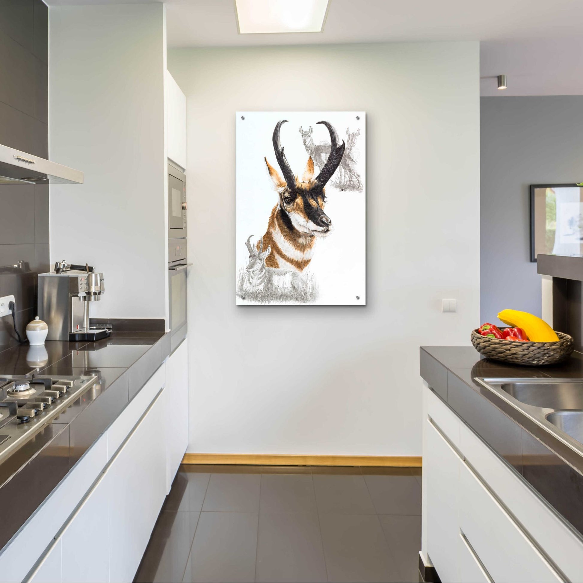 Epic Art 'Pronghorn' by Barbara Keith, Acrylic Glass Wall Art,24x36