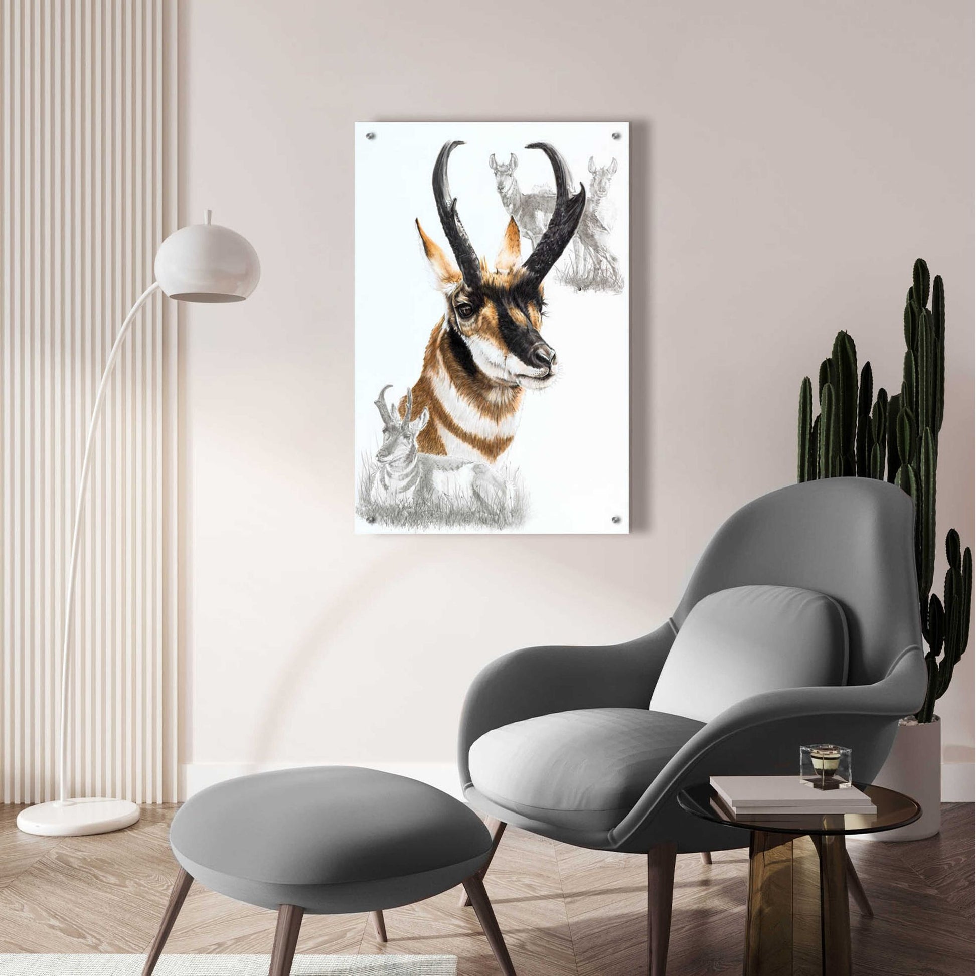 Epic Art 'Pronghorn' by Barbara Keith, Acrylic Glass Wall Art,24x36