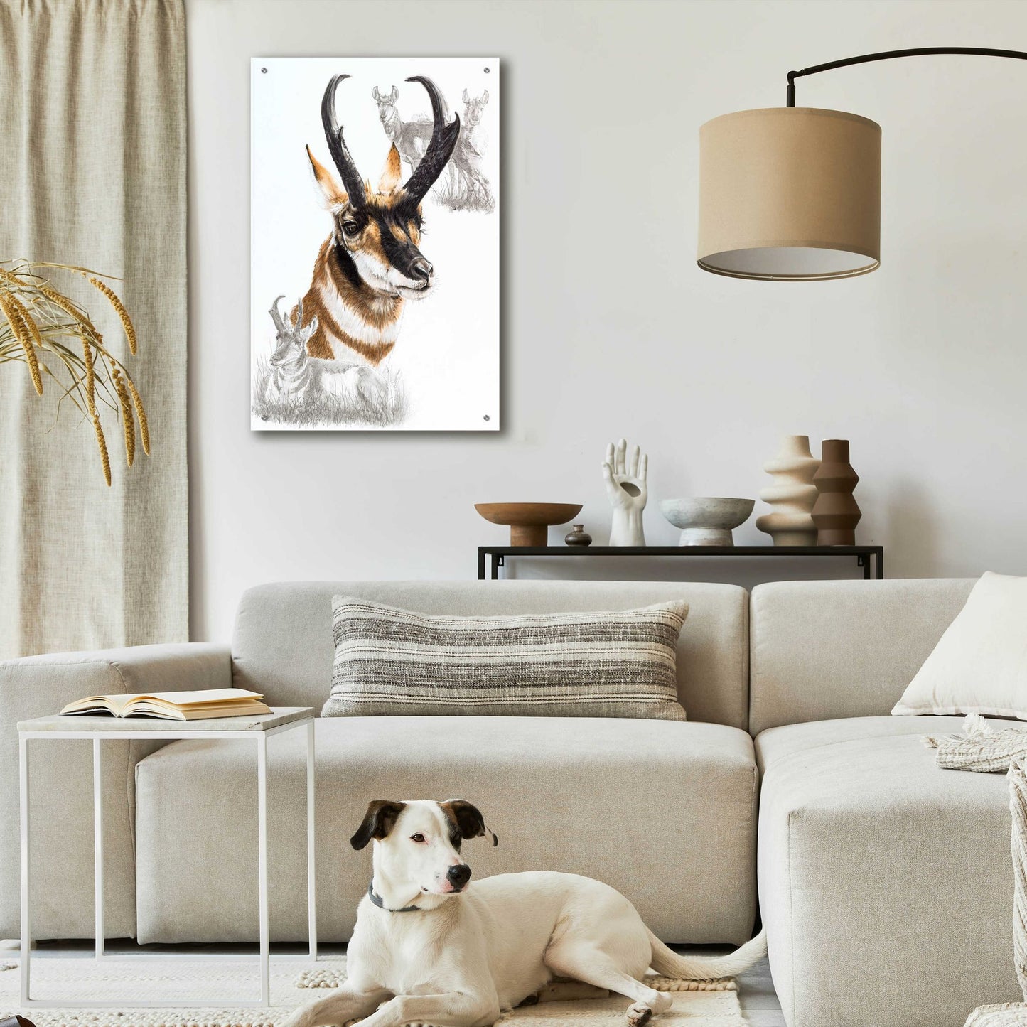 Epic Art 'Pronghorn' by Barbara Keith, Acrylic Glass Wall Art,24x36